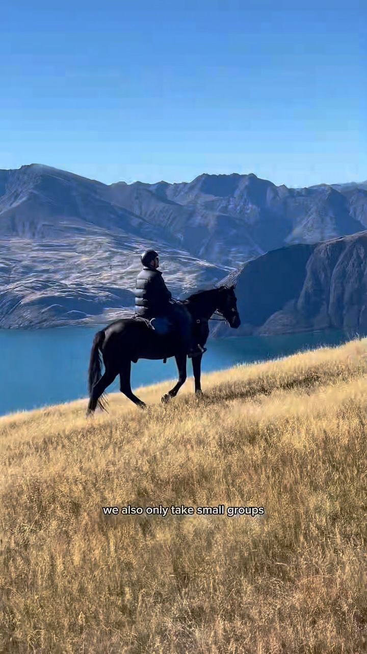 Thinking about horse trekking in New Zealand?
Here’s your sign!
At Wanaka Horse Trekking, we welcome everyone; from complete beginners who have never even touched a horse to experienced riders looking for their next adventure.
Our horses are kind, and have kept their characters, our guides are super hospitable, and the views… well, we truly think they are the best.
Who are you bringing along for the ride?
.
.
.
.
.
#horsesofnewzealand #newzealandholiday #horsetrekking #lakewanaka #visitnewzealanx