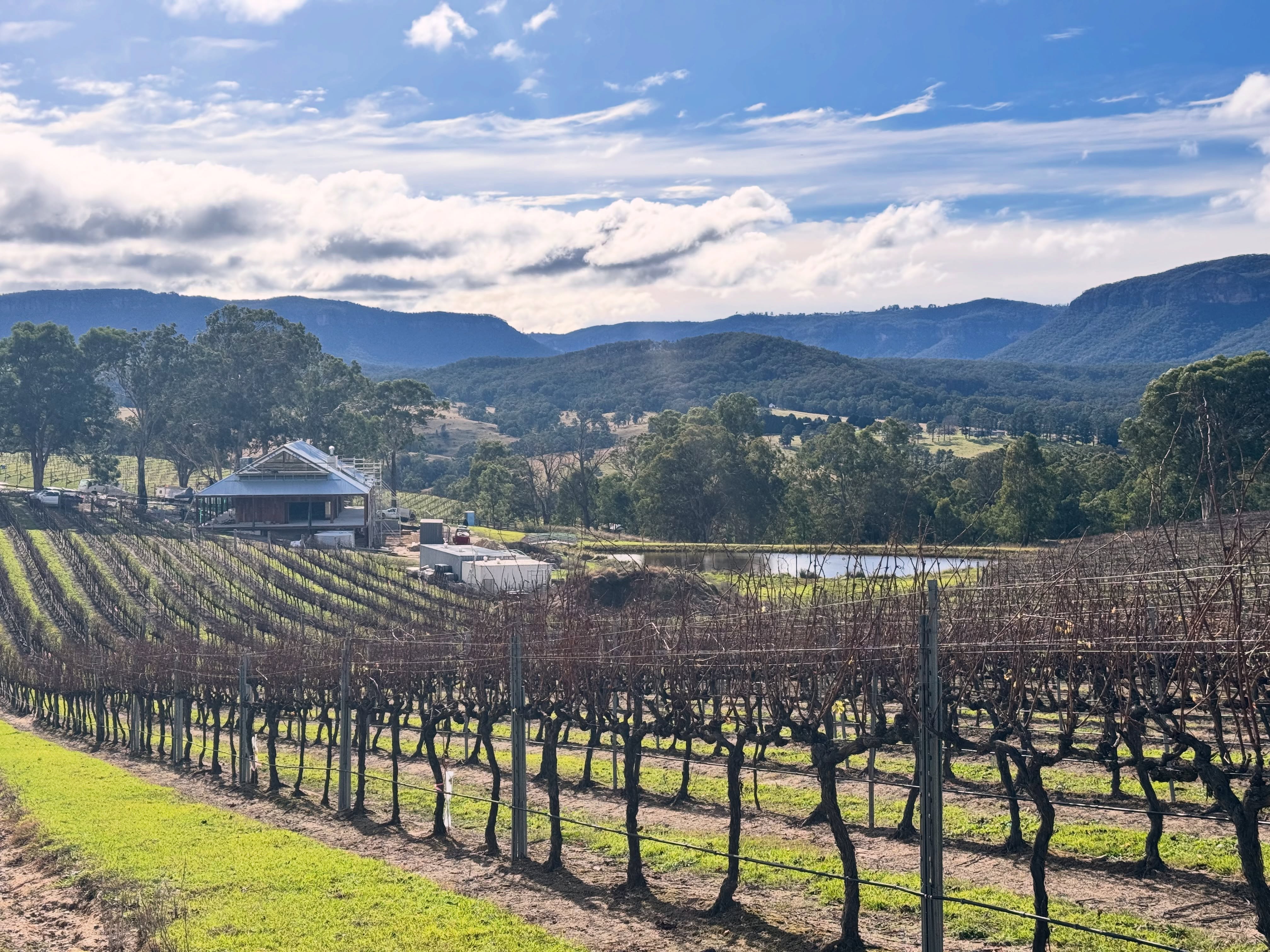 Winter brings a quiet beauty to Megalong Creek Estate Vineyard. The autumn leaves have fallen, leaving the vines with bare trunks and canes as they settle into their dormant season. As the vineyard rests, our team is preparing to begin the careful process of pruning, readying each vine for the next growing season. It’s a wonderful time to visit, enjoy the crisp mountain air, and experience the peaceful charm of the vineyard in winter.
#megalongcreekestate #bluemountainsnsw #megalongvalley #thebluemountainswine #singlevineyard