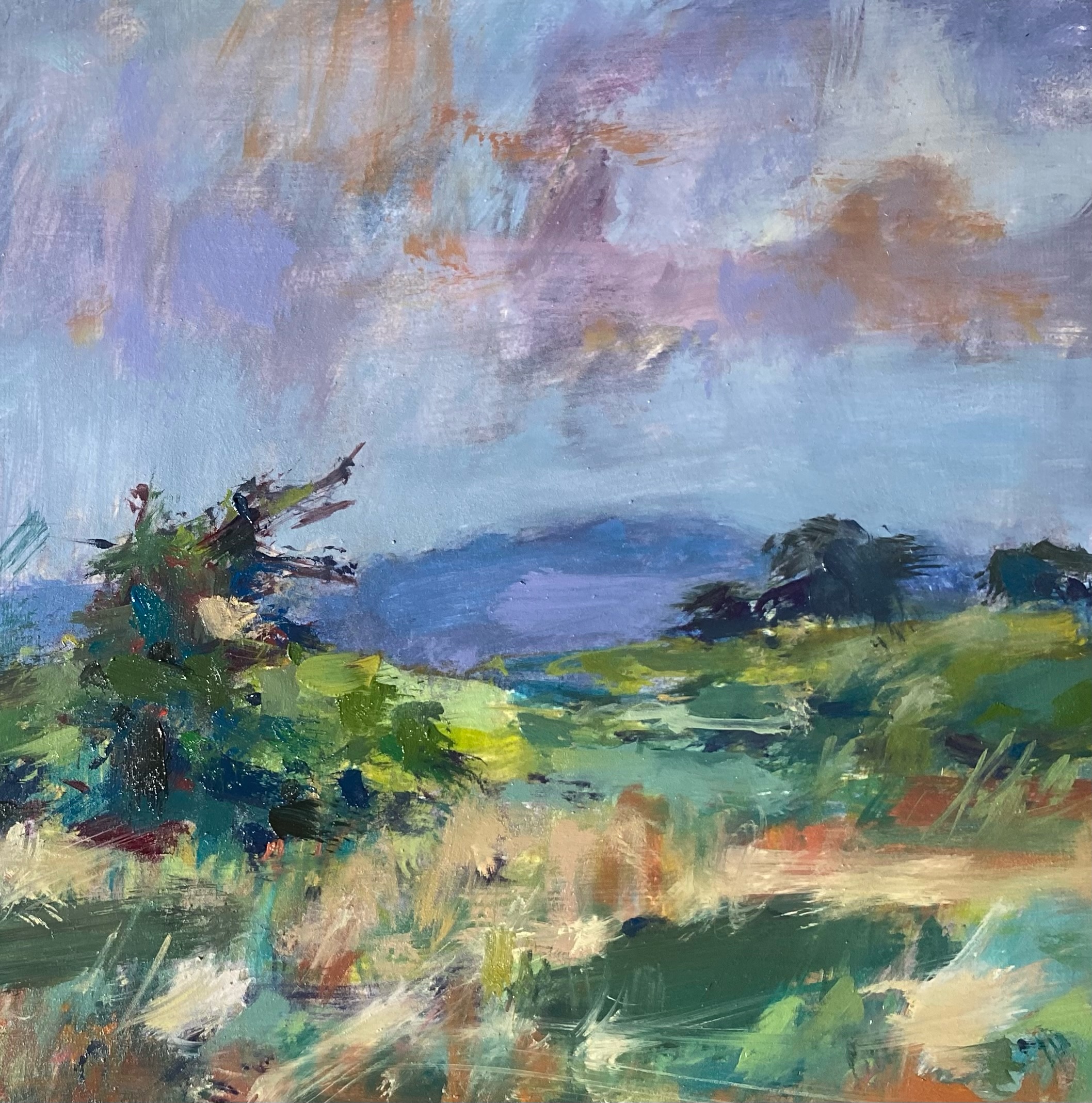 This was this mornings painting, in Harry’s field, he recommended taking a look at the flower growing in it. normal Cumbrian weather has resumed, windy and cool! But interesting sky and loved the colours in the shadows of the hawthorn on the left.