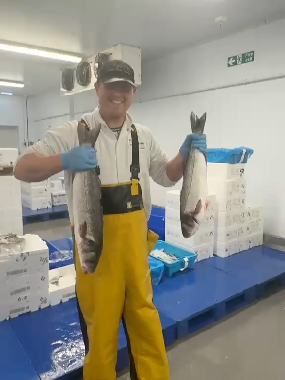 Sensational wild sea bass landing this morning! 🔥
We’ve just graded out a beautiful batch of wild sea bass, straight from this morning’s catch. Bright, firm, and in pristine condition for the weekend service.
We have three key size brackets to suit your menu requirements:
✅800g to 1kg: Perfect for a premium whole fish dish.
✅1kg to 2kg: Yields beautiful, consistent portion-size fillets.
✅2kg to 3kg: Ideal for thick, centre-cut loins and showstopping weekend specials.
Give the team a call directly to secure your fish prepped, just as you like it, before dispatch for the weekend ahead. 🚛
#WildSeaBass #WholesaleSeafood #ChefsOfInstagram