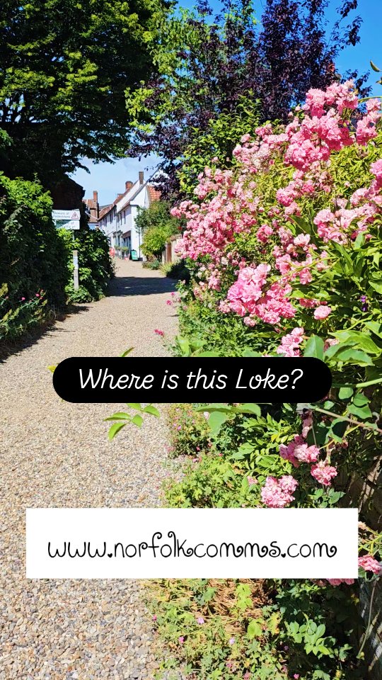 You may of noticed lots of roads called Loke's in Norfolk.
A loke is a narrow lane or track.
Do you know this loke in Aylsham?
Find out about our family business in Aylsham at www.norfolkcomms.com
#norfolkcomms #northnorfolk #aylsham #lokes #northnorfolkliving
