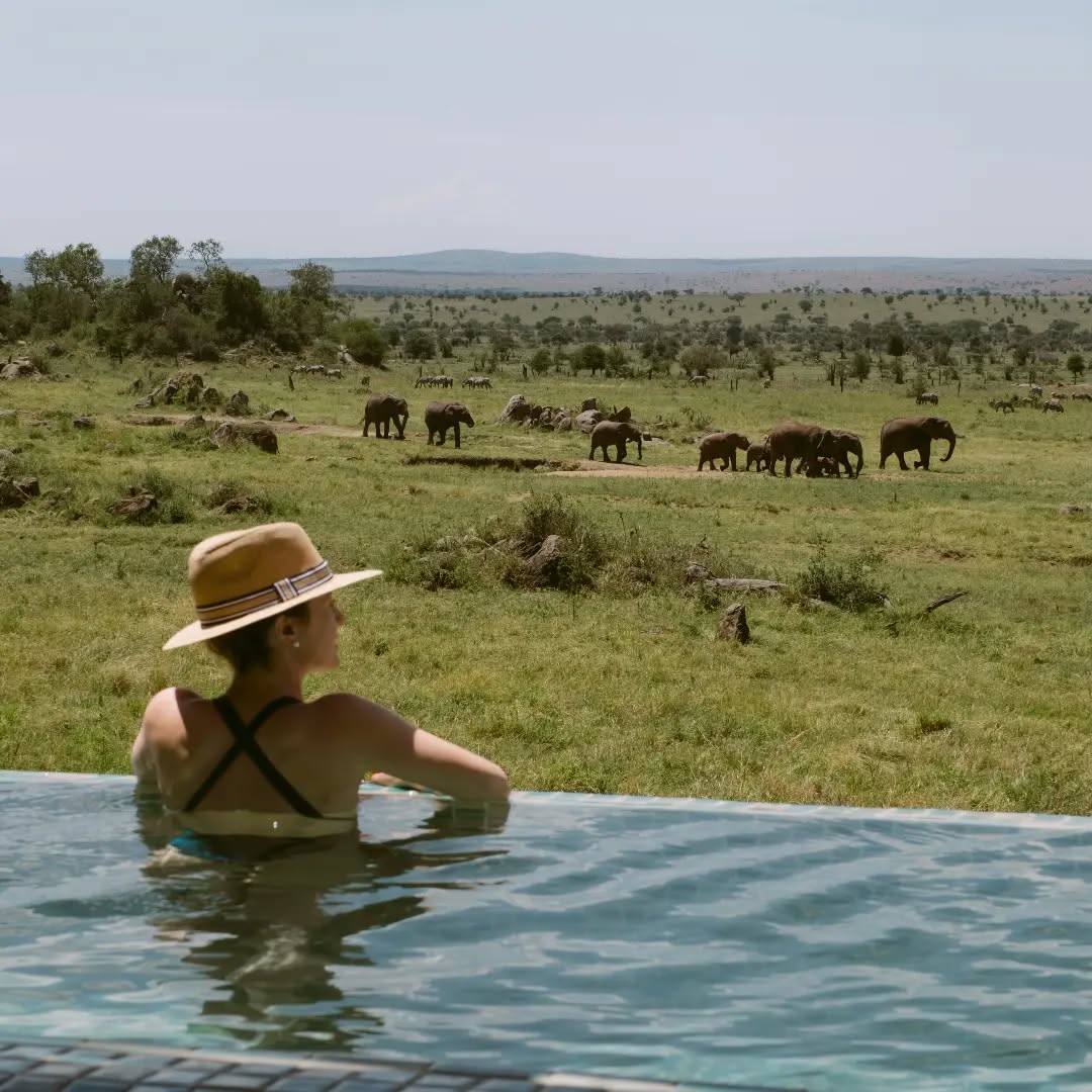 Lets Wenzi travel take you to the vast plains of Serengeti in a luxury way.
WhatsApp: +255769992291
🌐www.wenzitravel.com
📧info@wenzitravel.com