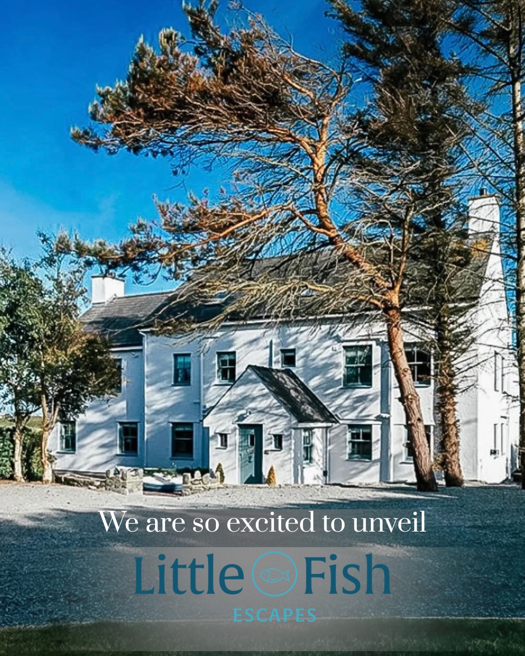 Our shiny new website is live!
And we can’t wait for you to see it.
We have now taken all bookings in house for a smoother, more personal experience and are always more than happy to chat through any requests you may have that go beyond what you see on the website;
🐟 different check in day,
🐟 group booking for a special occasion,
🐟 a retreat you would like to host at our properties,
🐟 a surprise birthday cake,
🐟 an in-house chef or
🐟 local information.
We are all ears and here to make your holiday one to remember, for all the right reasons!
Head to our new (have we already said that 😉) website and book your escape today with 10% OFF holidays this July and August.