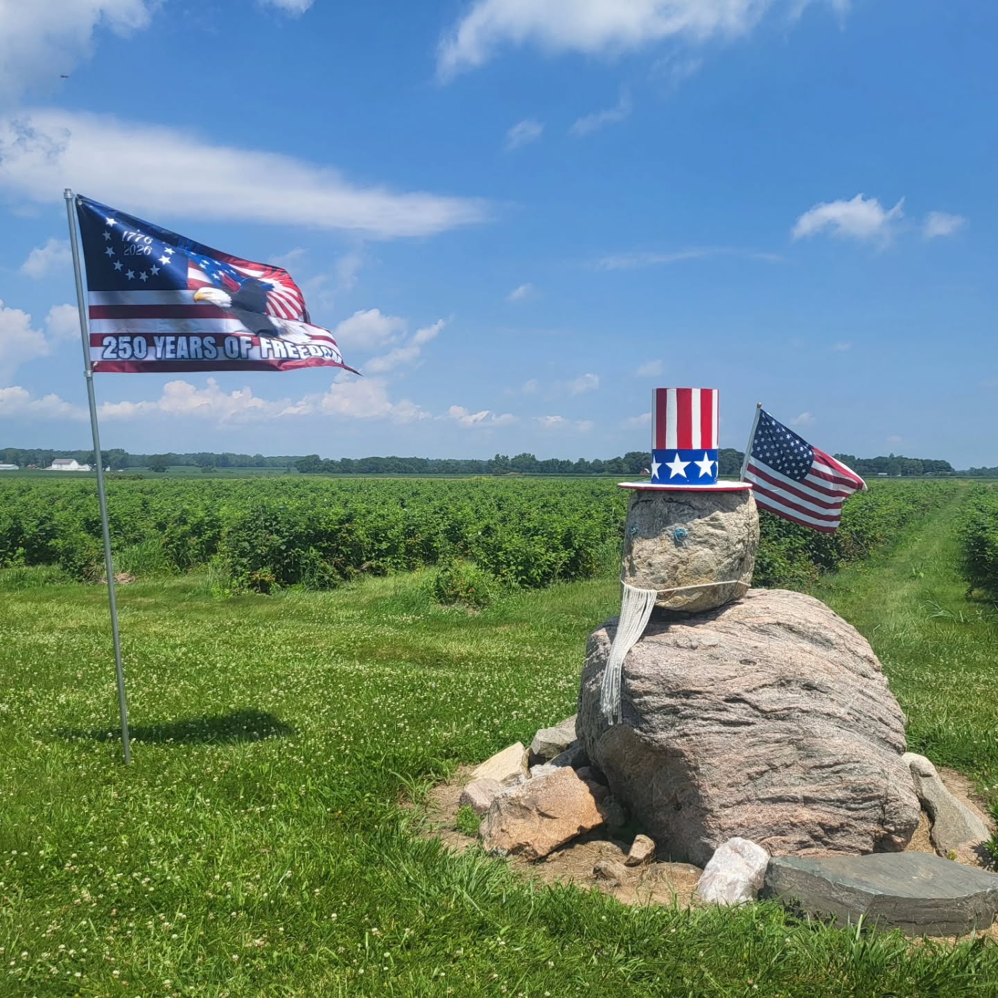 Happy 250th Birthday USA from Champaign Berry Farm!