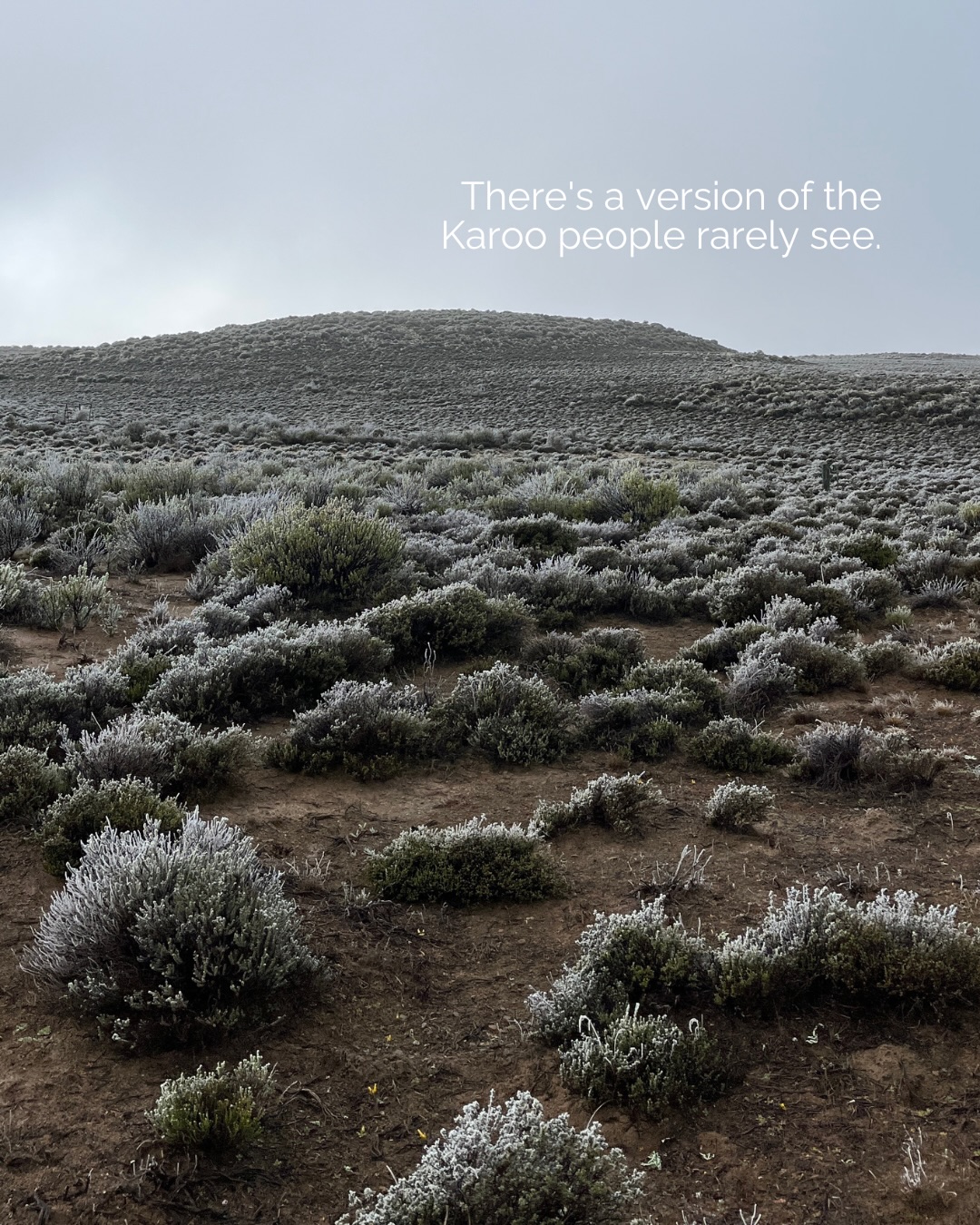 Most people visit the Karoo in summer. They’re missing the best season.
Winter strips everything back, fewer visitors, sharper air, frost on the veld at dawn. Fires get lit earlier and days feel fuller even though they’re shorter. It’s a different Rogge Cloof, and once you’ve seen it, summer feels like the compromise.
This isn’t winter to be endured indoors, it’s the season the Karoo was made for.
When are you coming to see it for yourself? Tap the link in our bio.
#luxuryecotravel #darkskyreserve #travelsouthafrica #karoo #karoolife
karooaccommodation hikingadventures hikingsouthafrica cheetahconservation cheetah sustainabletravel stargazing astrophotography sutherland astronomylover wideopenspaces natureescape nightphotography nightsky astronomy thisissouthafrica