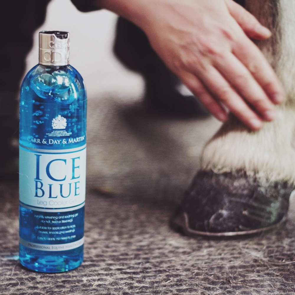 Stay cool 🧊😎
ICE BLUE kühlt schnell und beruhigt beanspruchte, müde Pferdebeine!
Es kann auch als erfrischendes Duschgel verdünnt am ganzen Körper angewendet werden 🚿
Viele hochwertige Wirkstoffe sorgen für lang anhaltende Kühlung und schnelle Regeneration:
🔹 Menthol
🔹 Kampfer
🔹 Arnika
🔹 Hamamelis
🔹 Teebaumöl
@carrdaymartin
#Kühlgel #Pferdepflege #Sommer #Sportpferd