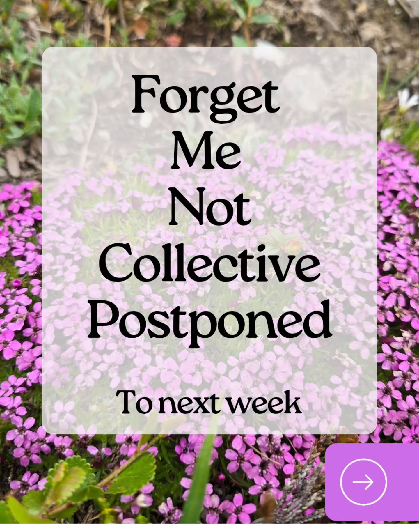 The flowers are out in Alaska, as is the sun, and we hope everyone is out soaking up the beauty with family and friends. We are pushing our weekly meeting to next week to make space for summer fun this holiday weekend.
Everyone is welcome to join for Forget Me Not Collective. This is a time carved out to gather and discuss our experiences as practitioners of euthanasia.
#euthanasia #endoflife #veterinarian #animalcontrol #alaska