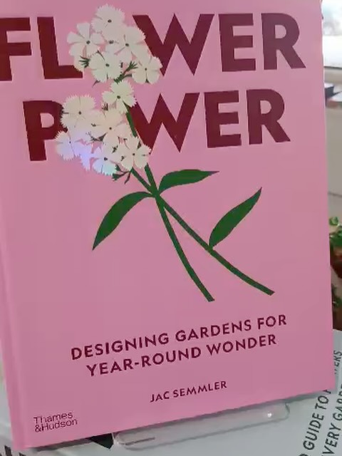 🌸🪻🌺🌼 flower power in full force out on the floor in store at the moment 🥰