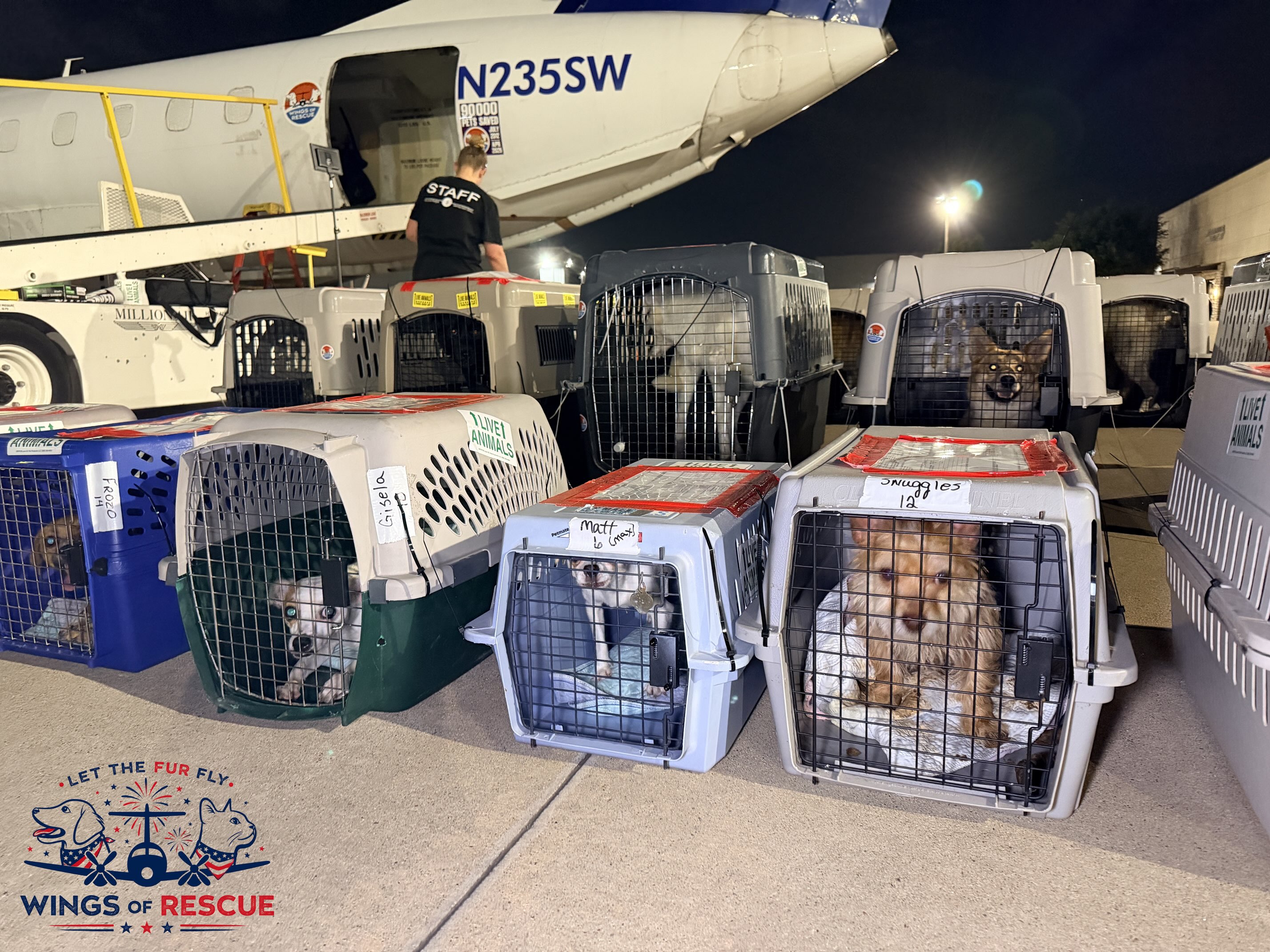 The best rescue flight is the one a pet never needs.
Every Fourth of July, shelters prepare for an increase in lost pets. Fireworks can send even the calmest dogs and cats running, adding to the number of animals entering already overcrowded shelters.
This holiday, take a few minutes to help keep your pets safe. Make sure their microchip information is current, check that collars and ID tags are secure, and keep them safely indoors before the fireworks begin.
The safest place for your pet is at home with the people who love them.
✈️ Link in bio to learn more about our mission.
#LetTheFurFly