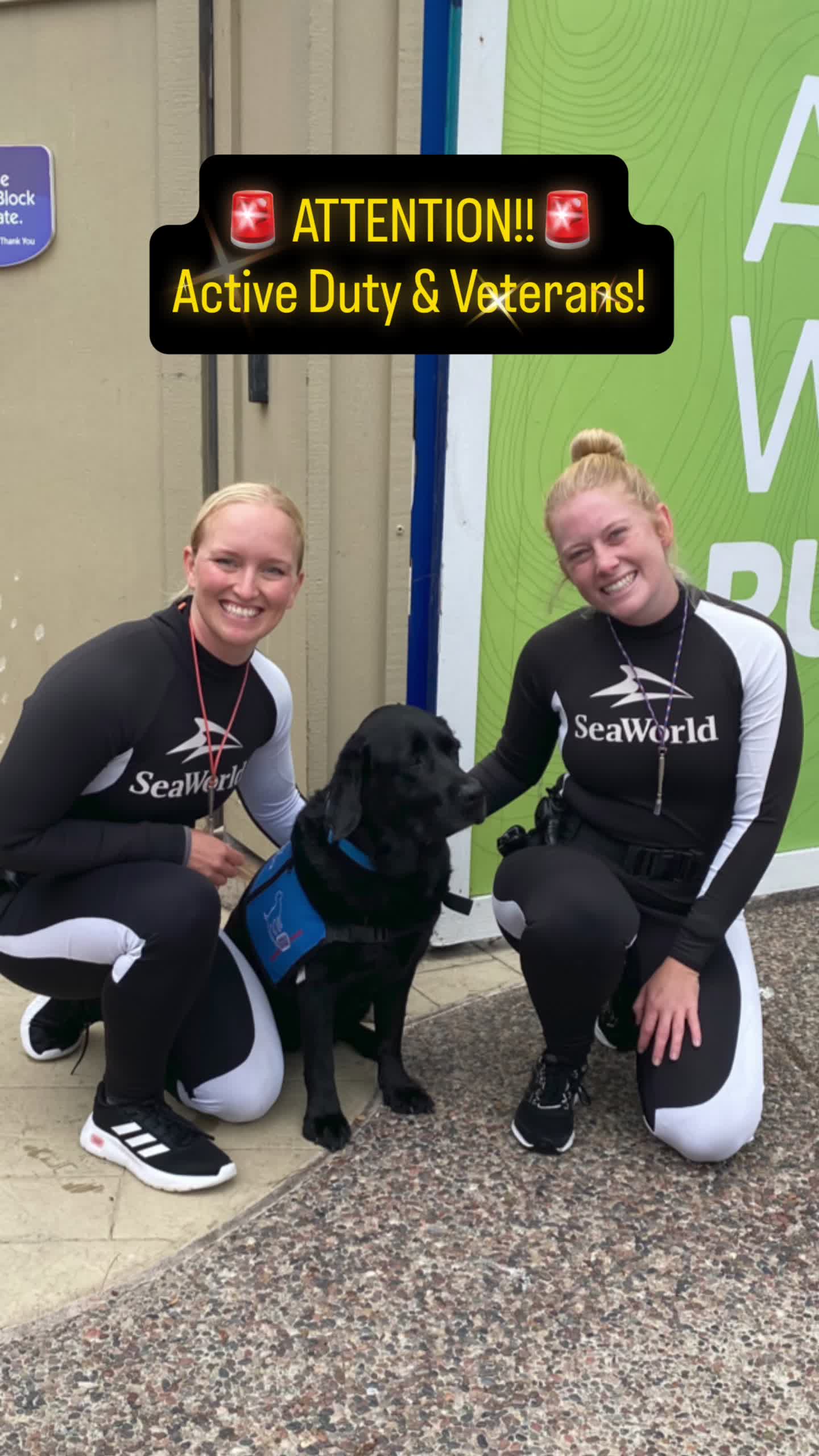 Attention all active-duty and veterans!!! Our partners SeaWorld San Diego are offering all military, past and present, 4 free tickets in honor of Celebrate America 250 and the upcoming July 4th Holiday! Visit the link in the comments to get your tickets! 🇺🇸 🐕🦺 🫡 #freedomdogsorganization #HeroesforOurHeroes #servicedogs #wavesofhonor