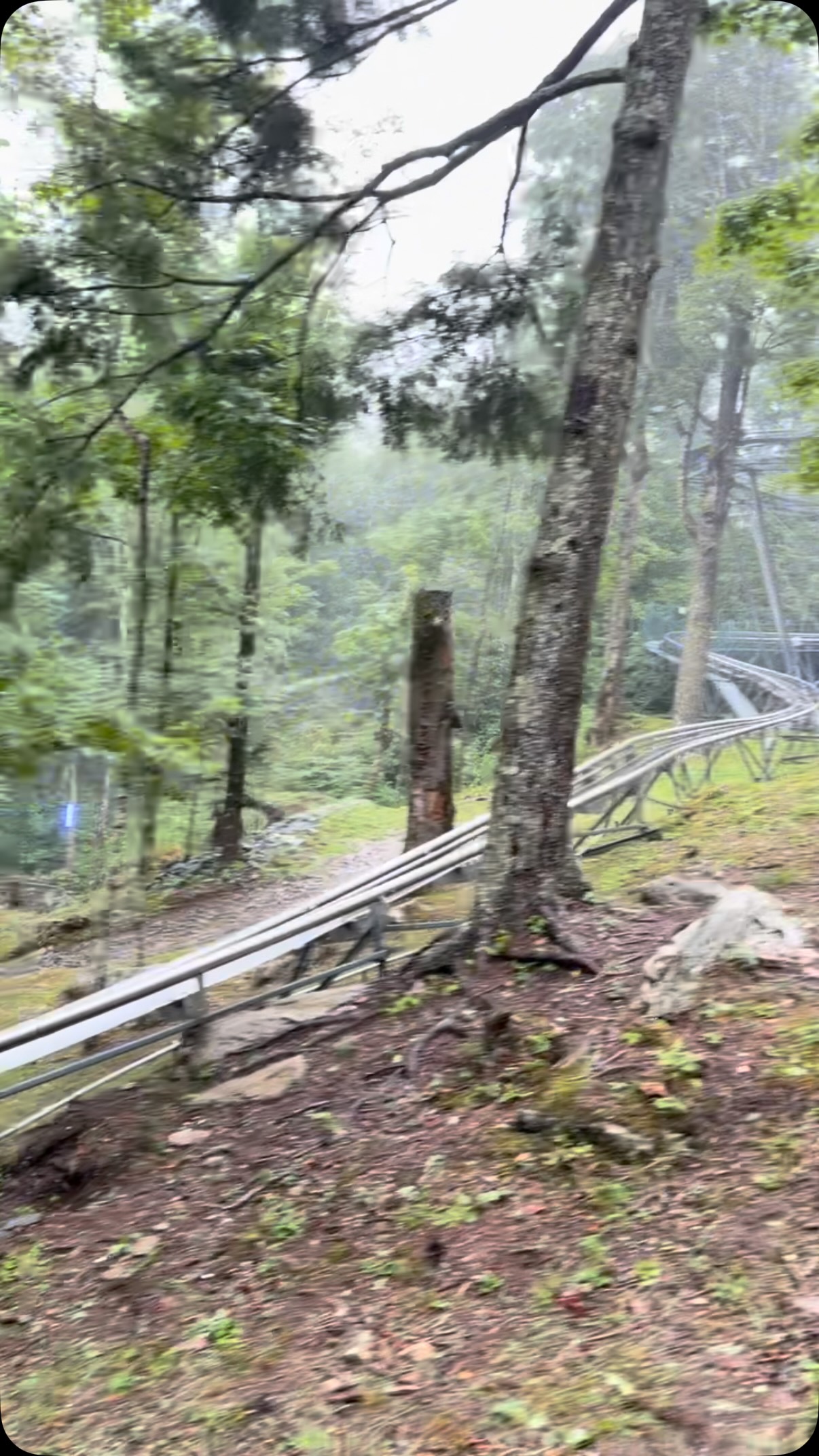 Don’t let a little rain ruin your adventure! Come on out and spend the day on the coaster with us—we’re ready to make it a ride to remember, rain or shine!