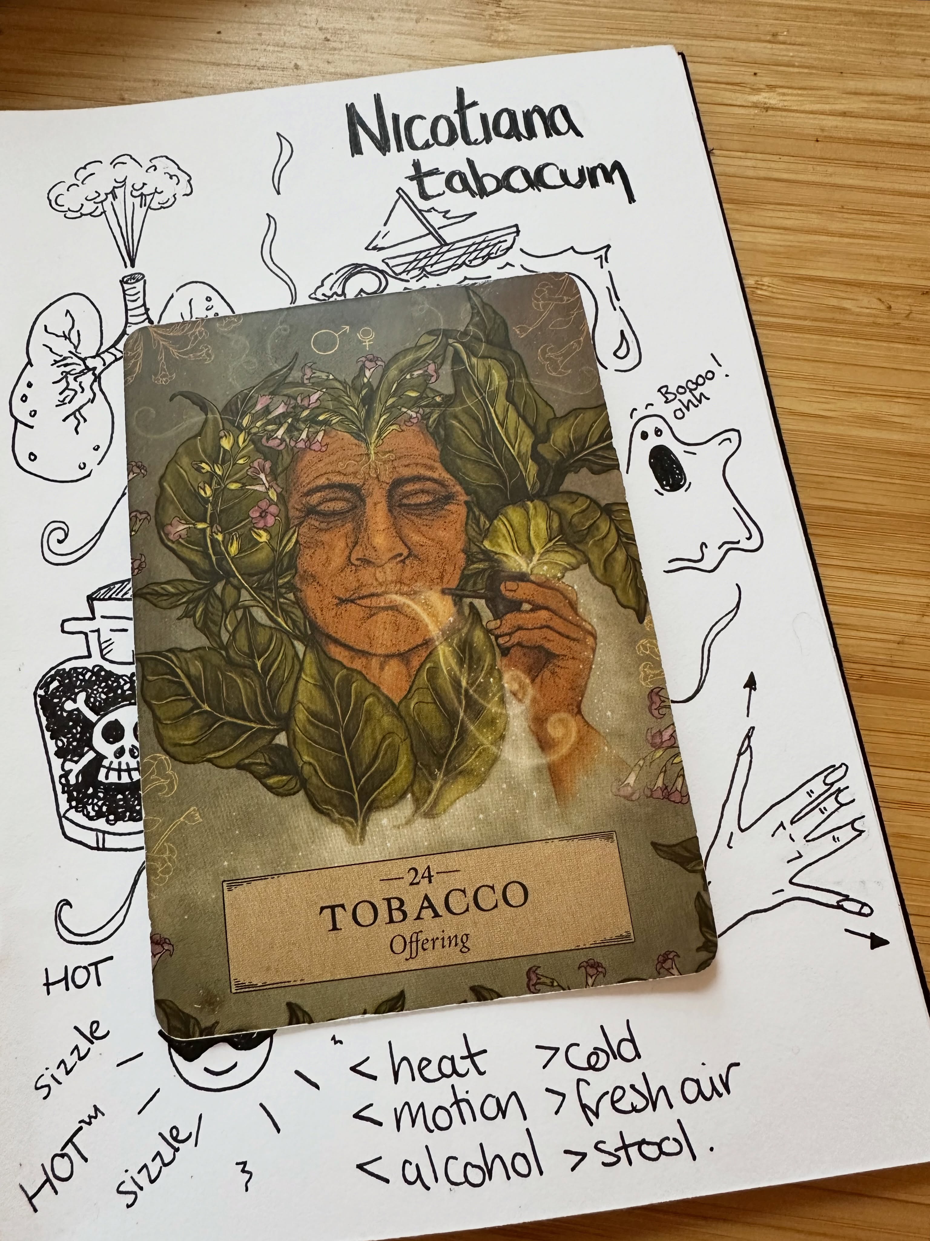 Nicotiana Tabacum, 🚬🌬️When you hear the word tobacco, you probably don’t think of homeopathy. However, Tabacum is commonly studied in our materia medica… and with London experiencing more HEATWAVES 🥵 it brings me to homeopathic remedies << aggravated by the SUN! So time to get reading…. 🚬
Imagine someone who has become ghostly pale. They’re cold to the touch, covered in clammy sweat, and feel so nauseous that even the smallest movement makes them feel worse. The room seems to spin, they feel faint, and all they want is to lie perfectly still with fresh, cool air on their face.
One characteristic features of Tabacum is that they are better >> cool, fresh air often brings relief, << aggravated by warmth, movement and enclosed spaces can make the symptoms feel unbearable.
Have you studied or prescribed Tabacum before? Can you see other keynotes in the illustration below…. I’d love to hear what stands out to you in its remedy picture.