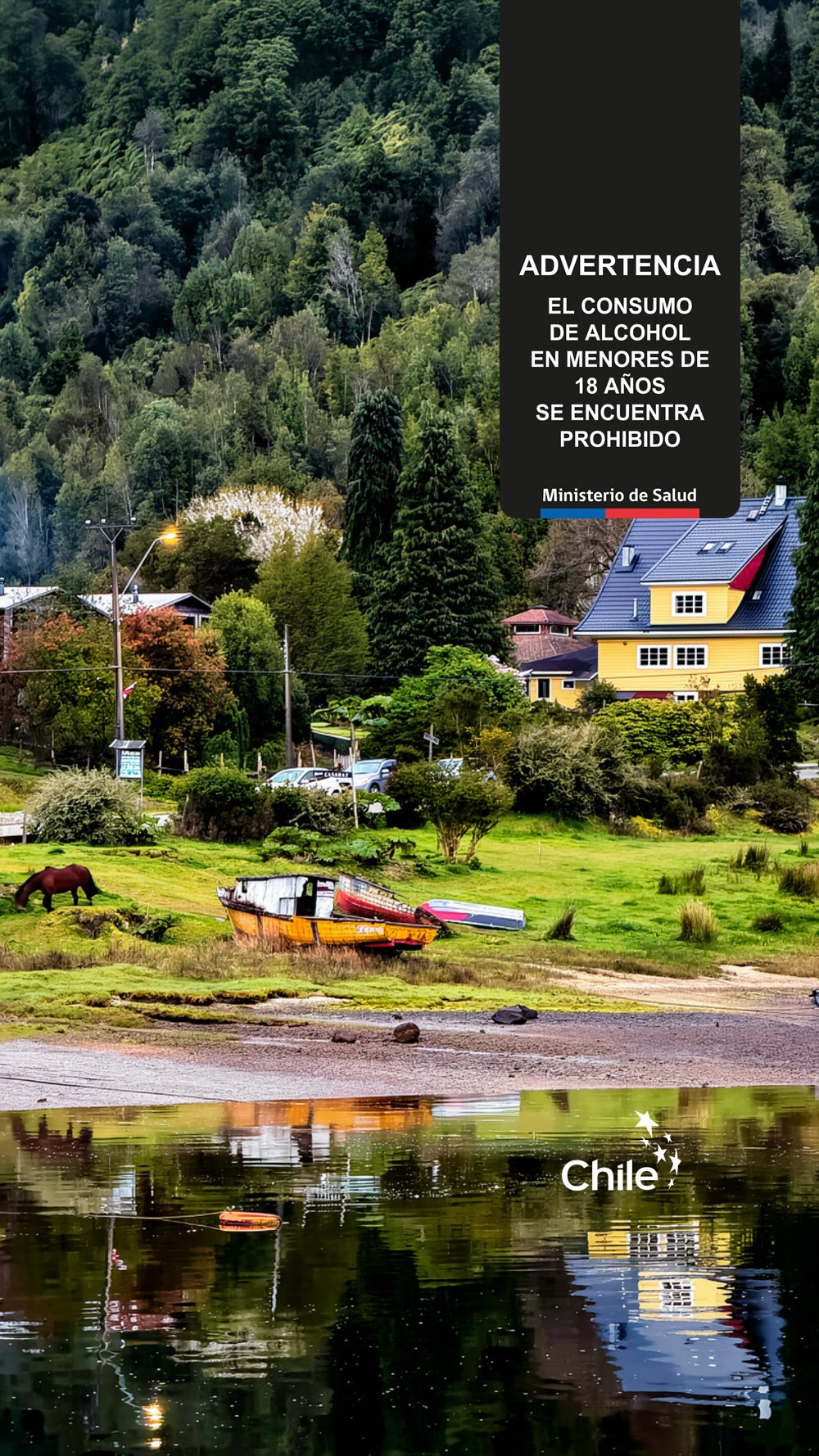 Lo que te entregamos a través de nuestros productos es la Patagonia real. En cada gota de Tepaluma® Gin vive el rugido de los ríos, la inmensidad de la naturaleza y la esencia salvaje de este territorio. Porque no existe nada como destilar en el origen.
Decimos dónde lo hacemos, y lo hacemos donde decimos.
Real. Salvaje. Icónico. Tepaluma®
………………
📍 En la Región de Aysén distribuye Gran Calafate (+56 9 3233 0996) y nos encuentras en un sinnúmero de botillerías, supermercados y tiendas especializadas.
………………
Tepaluma® Gin en la RM y zona central:
➥ cav.cl | Costanera Center | Parque Arauco
➥ @cavasdechicureo_y_lareina
➥ @patagon_wines
➥ @brotherwoodlatienda
………………
⚠️ ᴀᴅᴠᴇʀᴛᴇɴᴄɪᴀ: ᴇʟ ᴄᴏɴsᴜᴍᴏ ɴᴏᴄɪᴠᴏ ᴅᴇ ᴀʟᴄᴏʜᴏʟ ᴅᴀñᴀ ᴛᴜ sᴀʟᴜᴅ I ɴᴏ ʙᴇʙᴇʀ ᴀʟ ᴄᴏɴᴅᴜᴄɪʀ I ʀɪᴇsɢᴏ ᴘᴀʀᴀ ᴛᴜ ʙᴇʙé I ɴᴏ ʙᴇʙᴇʀ ᴍᴇɴᴏʀᴇs ᴅᴇ 𝟷𝟾 ᴀñᴏs I ᴍɪɴɪsᴛᴇʀɪᴏ ᴅᴇ sᴀʟᴜᴅ
ℹ️ᴠᴀʟᴏʀ ᴇɴᴇʀɢéᴛɪᴄᴏ ᴅᴇ ᴛᴇᴘᴀʟᴜᴍᴀ ɢɪɴ: 𝟸𝟺𝟶 ᴋᴄᴀʟ ᴘᴏʀ ᴄᴀᴅᴀ 𝟷𝟶𝟶 ᴍʟ I ᴛᴇᴘᴀʟᴜᴍᴀ ᴍᴀǫᴜɪ ɢɪɴ: 𝟸𝟷𝟽 ᴋᴄᴀʟ ᴘᴏʀ ᴄᴀᴅᴀ 𝟷𝟶𝟶 ᴍʟ I ᴛᴇᴘᴀʟᴜᴍᴀ ɢɪɴ ᴀñᴇᴊᴀᴅᴏ: 𝟸𝟺𝟻 ᴋᴄᴀʟ ᴘᴏʀ ᴄᴀᴅᴀ 𝟷𝟶𝟶 ᴍʟ
………………
#Patagonia
#CarreteraAustral
#Tepaluma
#PazenlaPatagonia