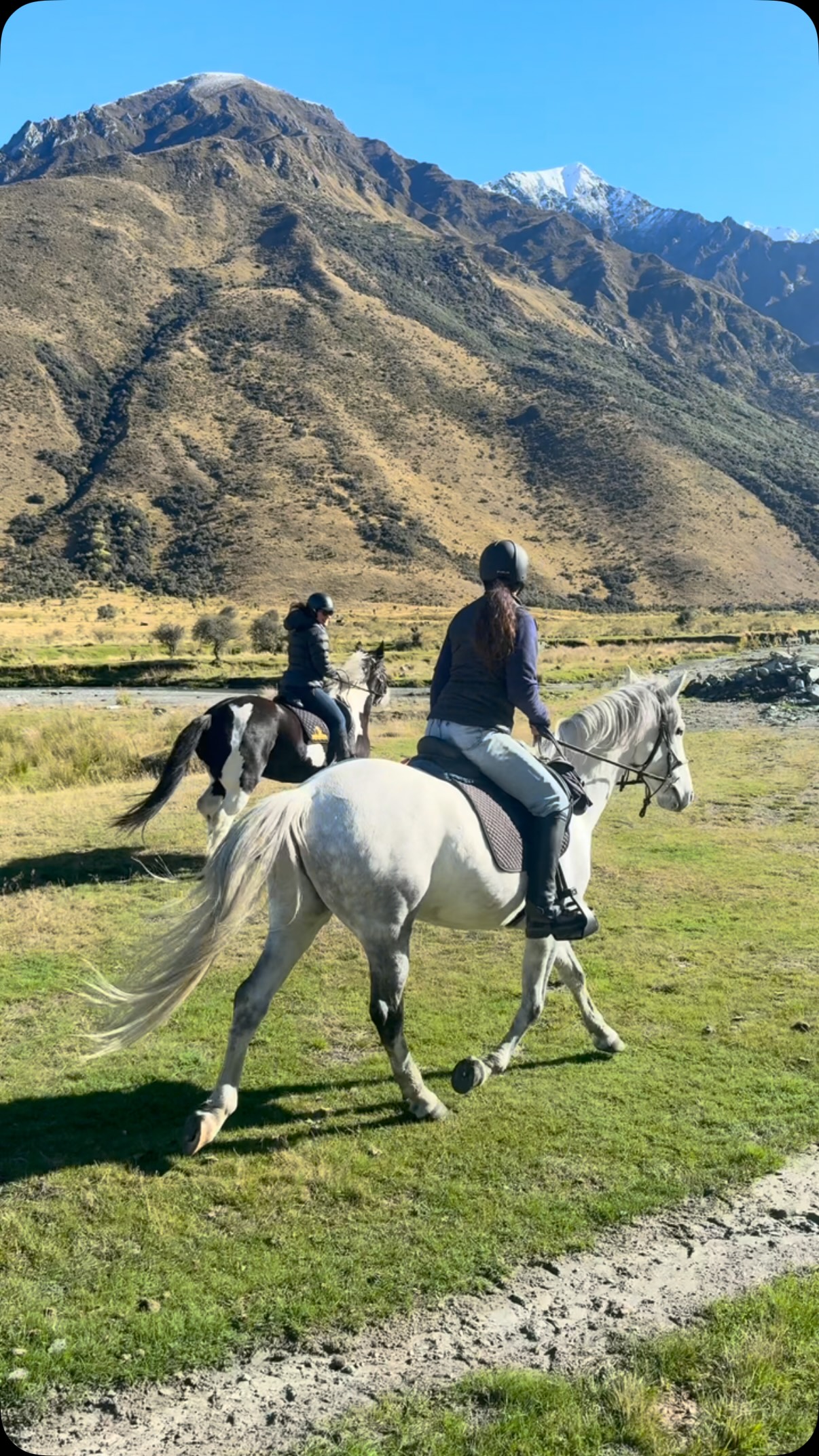 Back in April we went with our team for a fun day out celebrating the end of the season. And what better way to go for a ride somewhere else!
So we teamed up with the crew of @mokelakehorsetreks and we did a swap. We went to them first and met most of their amazing guides, who are all these amazingly beautiful woman.
We were so lucky with the warm sunny day, and just had the best time out on their beautiful horses.
Thank you Anna and the team and your sweet horses for the great morning ✨🐎
.
.
.
.
.
#queenstowntodo #horsegirls #horseride #newzealandtrip #nzmustdo