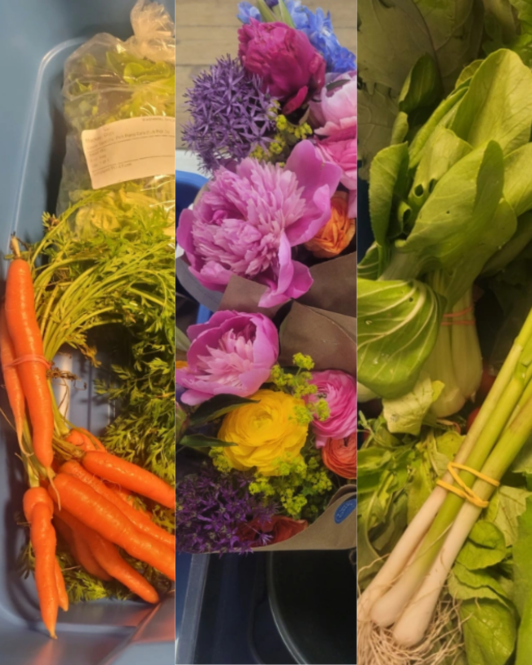 Ordering for this week closes tonight at 7 pm!! Be sure to confirm your carts and use code NSLOYAL10 for 10% off all your orders!☀️🌱💐🥕🥬🌻
#wolfvillefarmersmarket #wolfville #annapolisvalley #novascotia #farmersmarket #wfm2go #shoplocal #eatlocal #buylocal #supportlocal #freshproduce #community #letsdothis