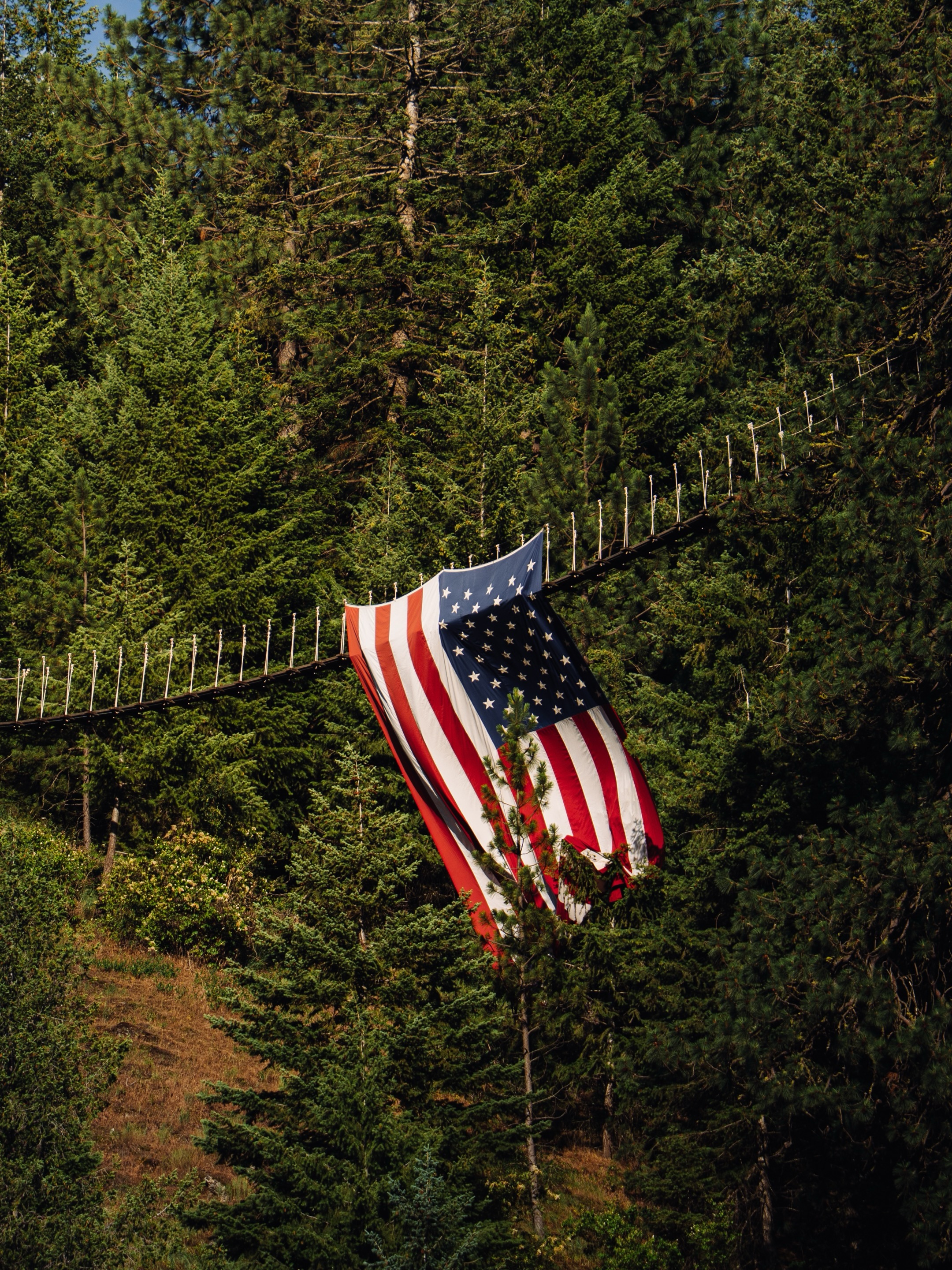 Happy 4th from Idaho 🇺🇸🎆🥳
#idaho #coeurdalene #4thofjulyweekend #baldeagle #sonyalpha
