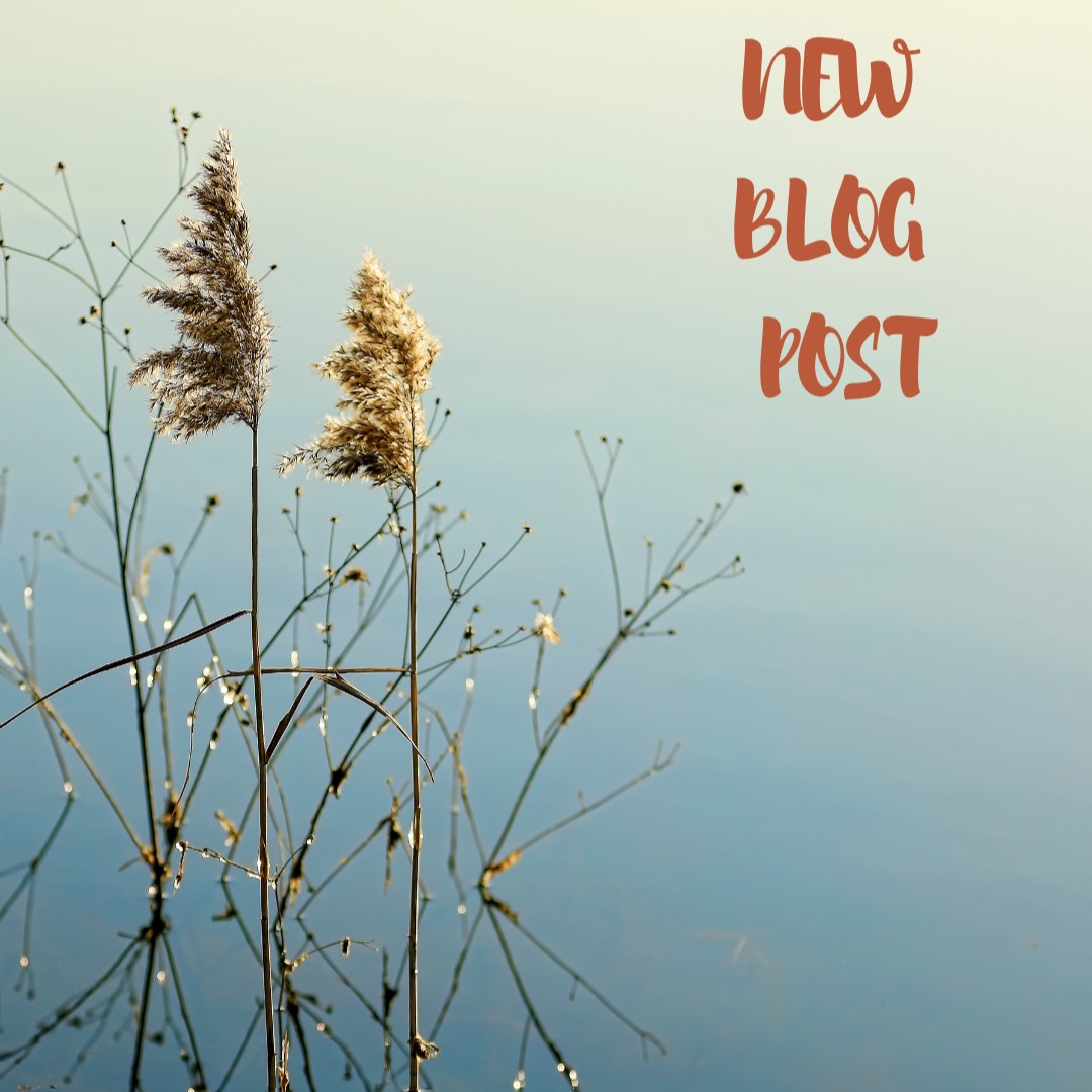 I've lost someone a week ago ... so have been thinking a lot about death and are responses to loss #whendeathcomes #alifeinprogressblog