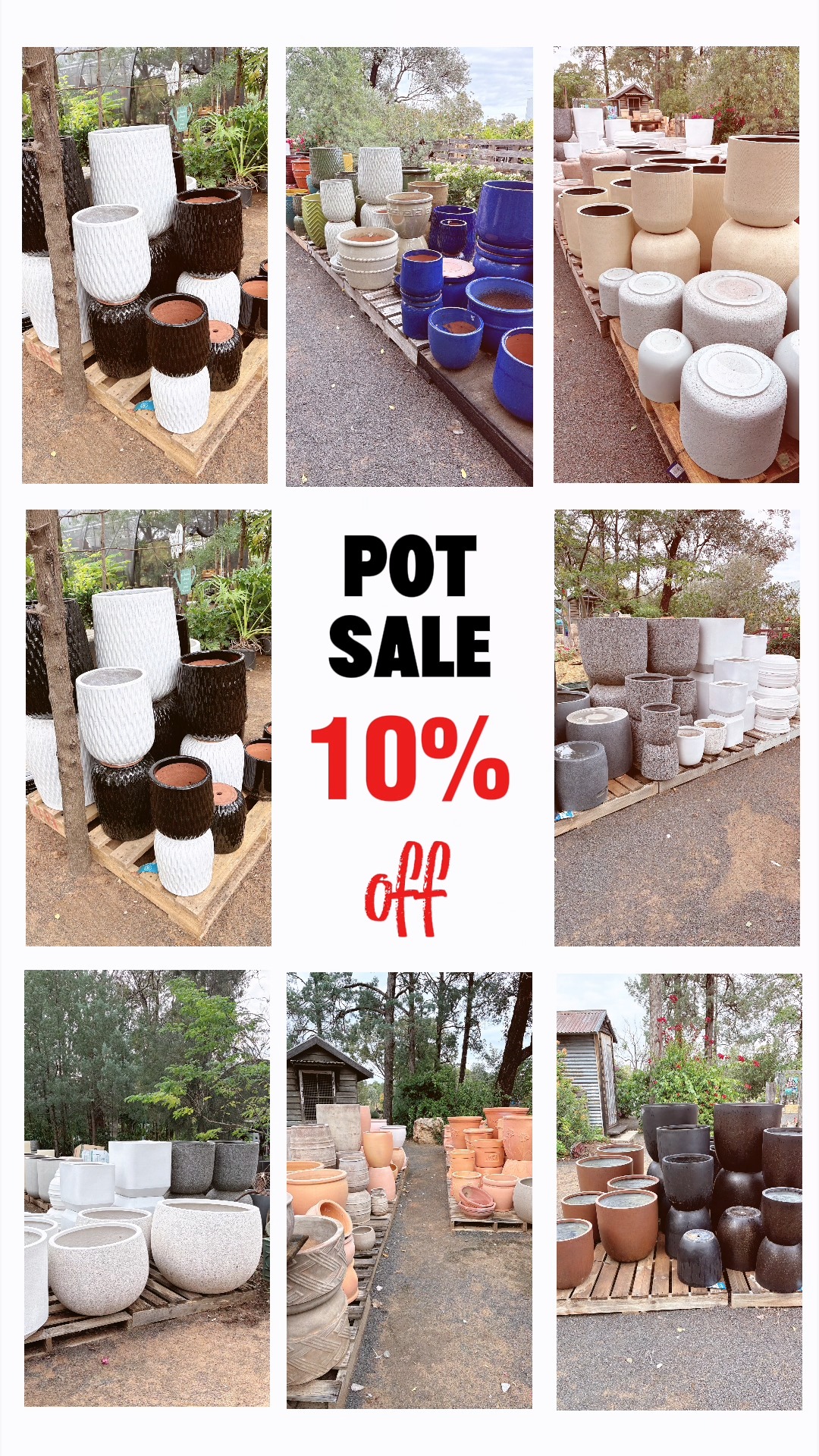 🪴 Pots, pots and more pots 🪴
Our large pots are 10% off right now, and the timing could not be better. The cooler winter days are perfect for repotting, refreshing your greenery, or getting a new project underway before spring.
If you have had your eye on a statement pot, now is the time.
Come out to Moorelands and see our range of pots before the sale wraps up this Sunday.
📍Moorelands Bush Nursery, Dargal Rd, Roma