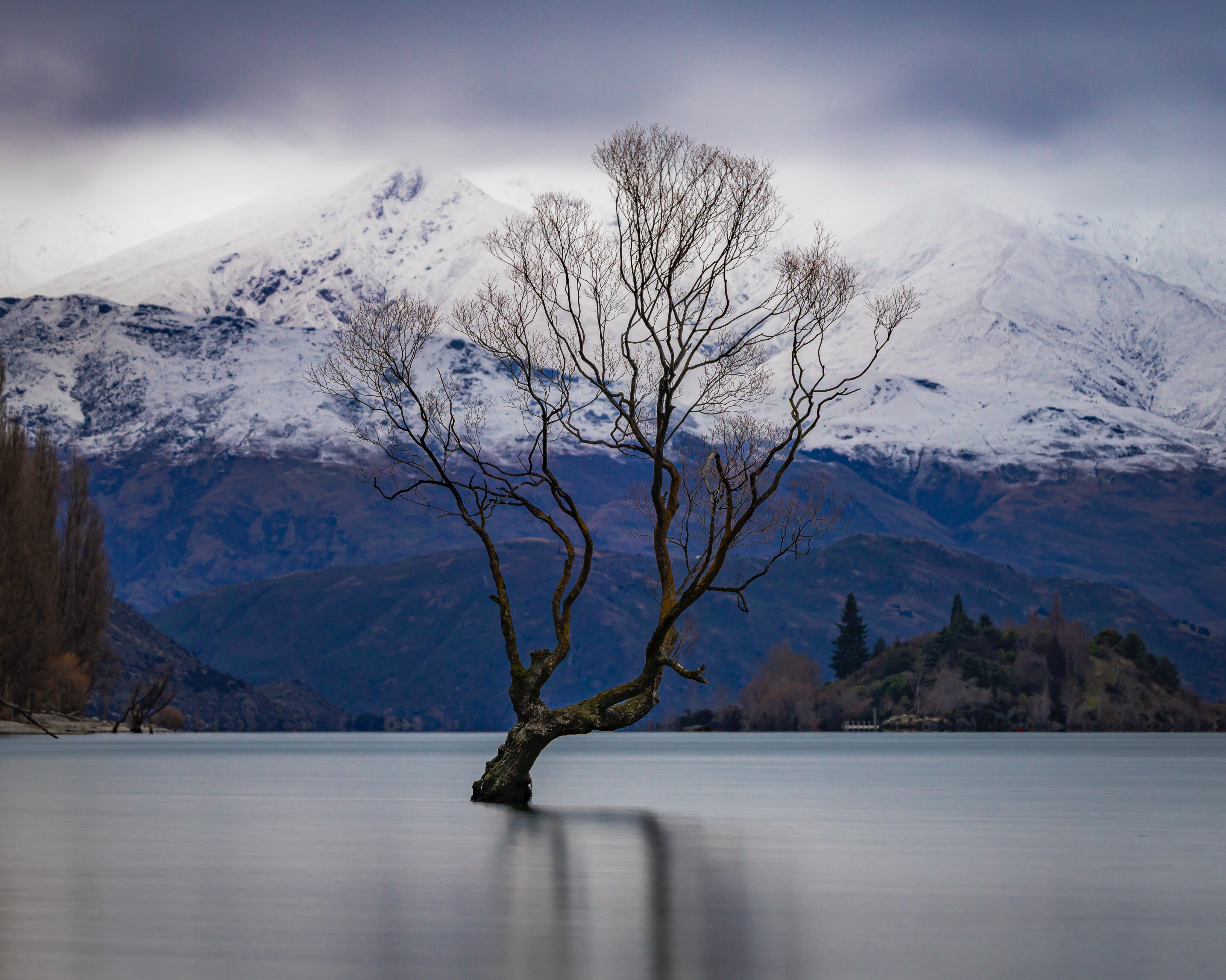 The famous Wānaka Tree is a crack willow, an introduced species that, by all accounts, wasn’t invited. Yet every year it attracts thousands of equally introduced species… tourists.
Myself included. 😅
There’s something wonderfully ironic about flying across the Tasman to photograph a non-native tree in a country famous for its incredible native wilderness.
Nature has a great sense of humour.
#NZ #wanakatree #photoswithsam #nzgeo
