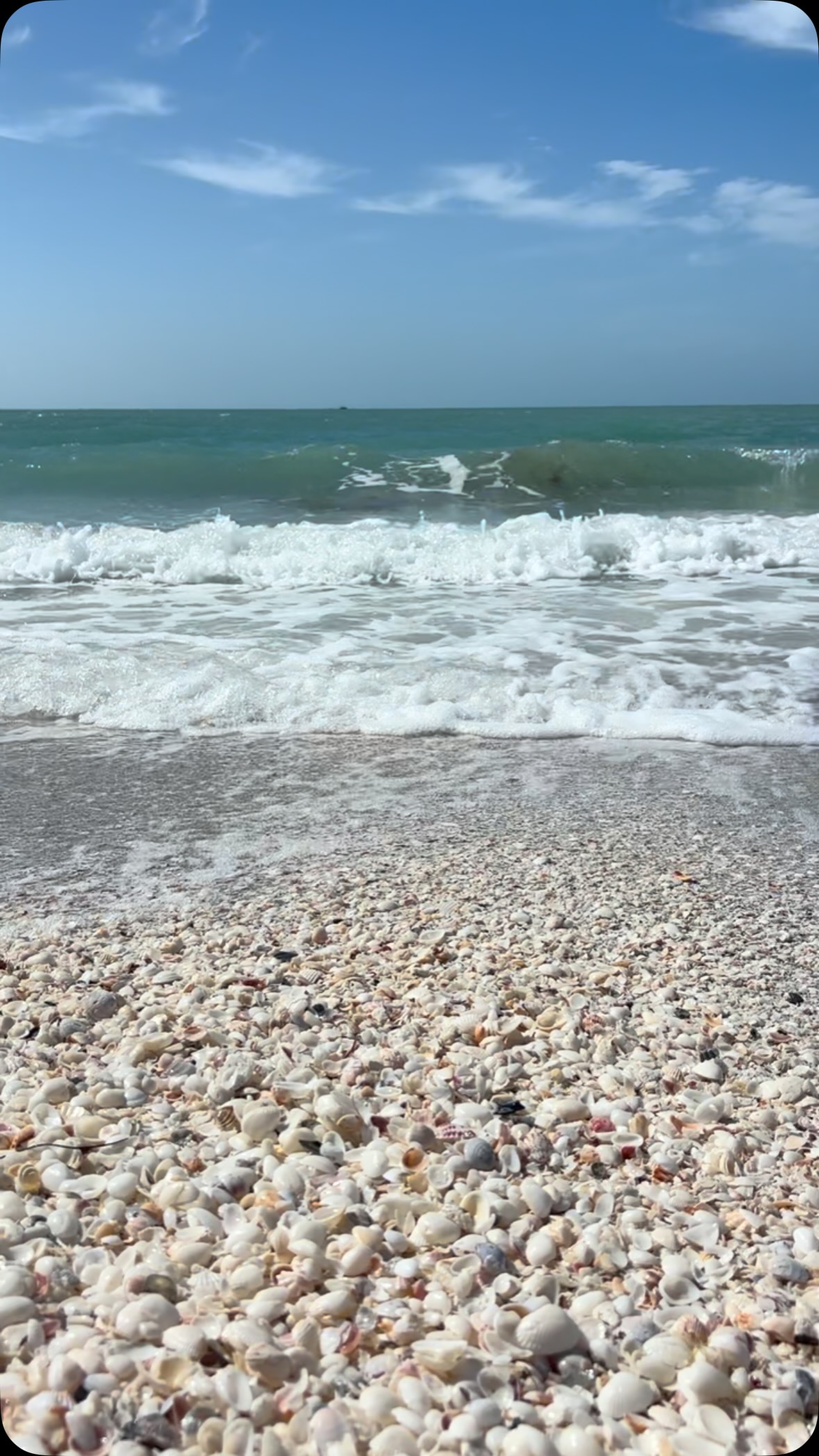 Your Friday afternoon mindfulness moment by
Centered by the Sea 🌊
You’ve made it through another busy week.
Before stepping into your weekend, pause for just a moment.
Take a slow, deep breath in through your nose… and gently exhale through your mouth.
Notice your breath.
Imagine the rhythm of the tide.
Hear the gentle lull of the waves.
Feel the ocean washing over smooth seashells.
Allow your shoulders to soften.
Let your jaw release.
Let your mind become still.
With each breath, let go of what this week has asked of you.
Create space for what your heart may yearn for now.
As you inhale, welcome the gift of this weekend.
As you exhale, release the weight of the week.
Remember, you don’t have to be standing at the ocean to experience its peace.
Your inner shoreline is always within reach—a place of calm, presence, and renewal that lives within you, wherever you are. 🌊
May your weekend be filled with moments of stillness, gentle joy, and the quiet wisdom of the sea.
🌊Find your inner shoreline 🌊
Ocean-inspired living for women seeking calm, clarity, and connection.
www.coachingbyro.com
#midlife #lifetransitions #innershoreline #findingpeace #womansupportingwoman