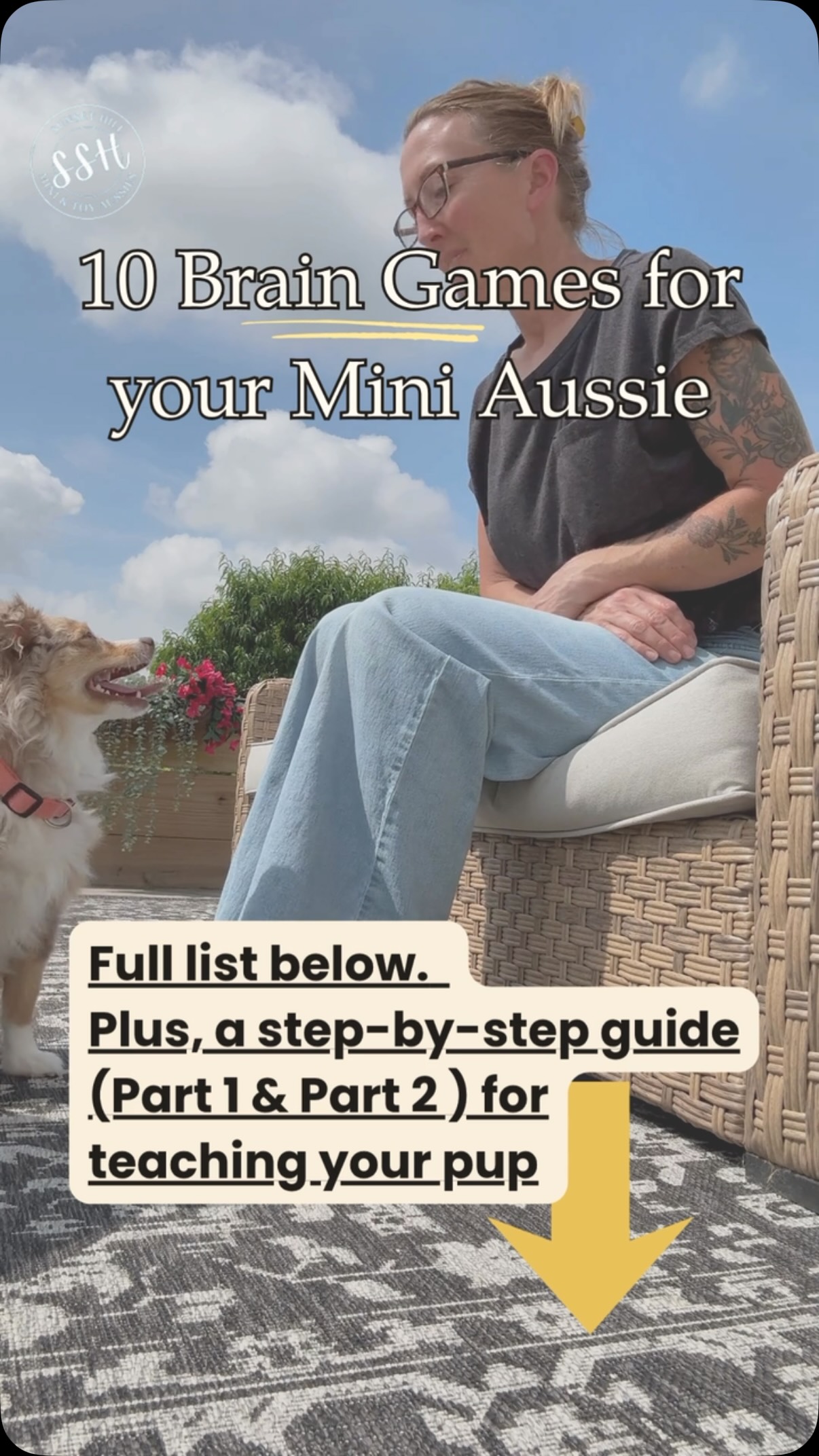 10 Enrichment activities for your mini Aussie
They need a job for that busy little brain. 🧠🐾
Mini & Toy Aussies are smart, quick, and observant — which is adorable until that brain starts creating its own entertainment. 😅
Here are 10 simple brain games you can use at home (full step-by-step for each one on the blog):
✨ Load your marker word
👀 Look at me
🚪 Permission game
🛏️ Find your place
🧸 Toy switch
🔄 Go around
🐾 Calm greetings
🧍 Wait while I move
📦 Texture confidence
✅ Daily chore game
⏱️ 5-minute training circuit
These are simple, realistic games that build focus, confidence, self-control, and calmness — without needing a fancy setup or hour-long training session.
There are BOTH part 1 and part 2 of this on the blog (link in bio) so you can actually follow it and use it with your puppy or adult dog. 🐶
Your Aussie already thanks you!!
#puppyenrichmentgames #AussieBrainGames #puppysocializationtips #SunsetHillMiniAussies #MiniAussiePuppy
