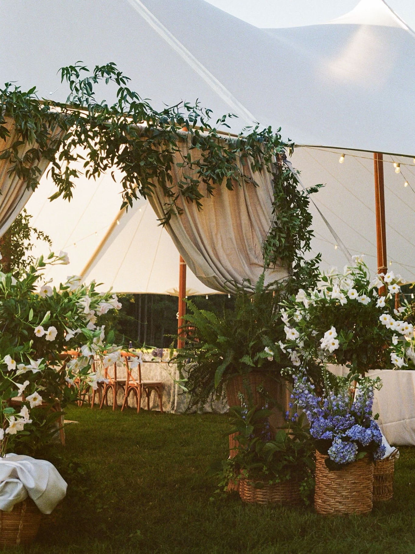 This tent entrance deserved a permanent spot on our feed…🌿🤍
Layers of draping, lush greenery, rattan touches, overflowing hydrangeas, and the dreamiest first impression. Every detail invited guests into a tent space that felt both elevated and effortlessly welcoming.
Vendors:
Wedding Venue | Private Residence
Culinary | @worcestertechhs @pcropperocean
Bar Services | @bayshorebarservices
Confections | @delvecchiosbakery
Planning | @eventfullyyoursmd
Rentals | @coastaltentedevents
Linens | @nuagedesignsinc
Photography | @madelineseriophotography
Floral Designs | @pitcherspetals
Band | @theofficialblacktieband @washingtontalent
#marylandweddingplanner #marylandwedding #backyardwedding #easternshorewedding #easternshoremd