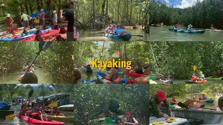 We wrapped up the cycle with an unforgettable field trip kayaking through the mangroves! 🚣♂️🌿
Learning, exploring, and enjoying delicious tropical fruits 🍉🍍- it doesn’t get much better than that!
Shoutout to our students for demonstrating excellent teamwork and collaboration throughout the adventure. Teamwork makes the dream work here at Jungle! 🙌💚