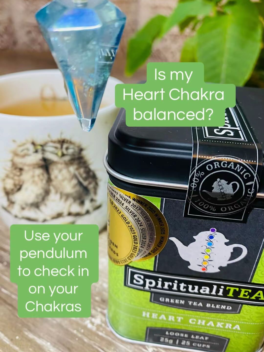 Use your pendulum to check in on your Chakras. Ask is my Heart Chakra balanced and discover your yes or no response. Clockwise is yes for me and anticlockwise is no.
#heartchakra #pendulum #chakras