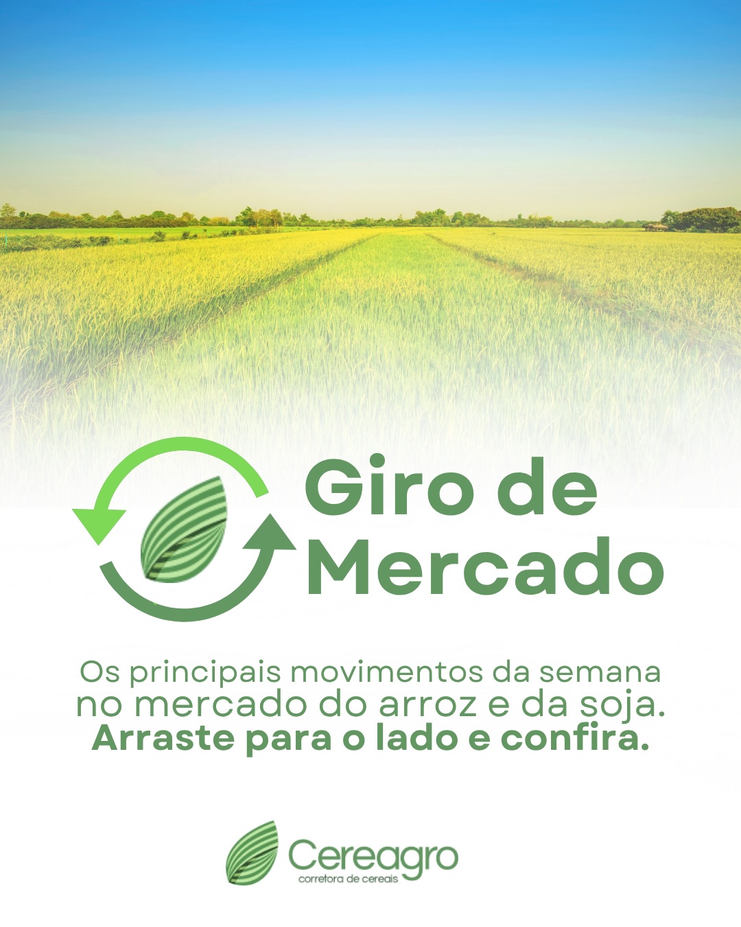 Arraste pro lado e confira as notícias da semana.