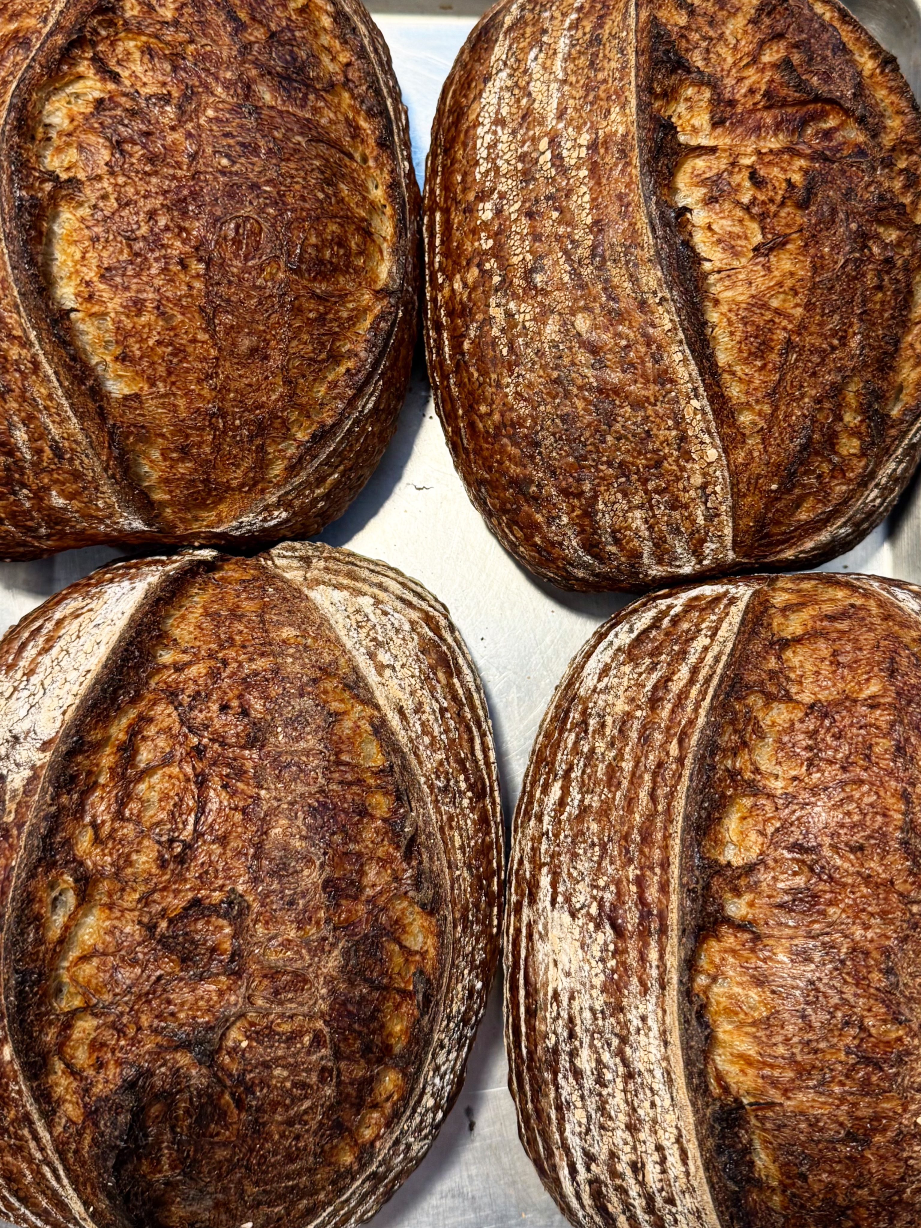 Just sourdough 🤎
#sourdough #sourdoughph #breadph #bakeryph