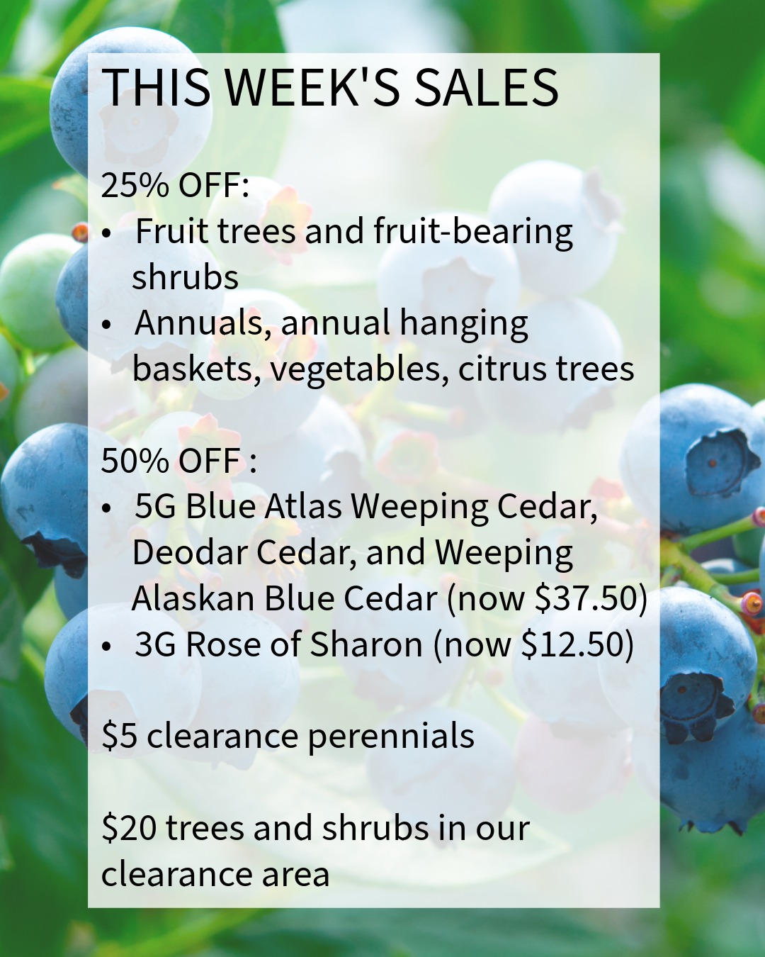 July is National Blueberry Month in the US! To celebrate, this week, we have placed all fruit trees and fruit-bearing plants on sale!
Repost and share this with a friend!