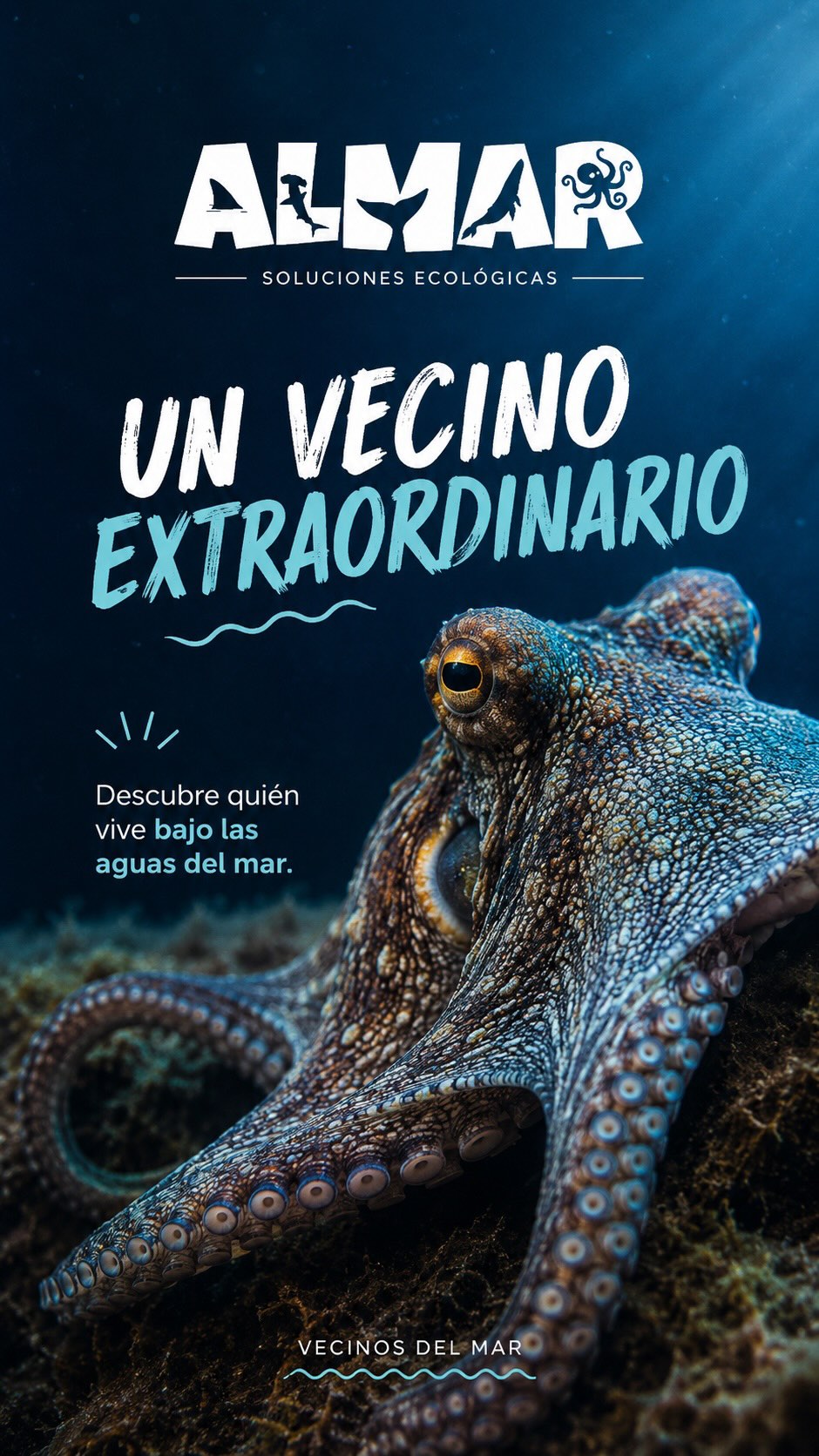 Hay animales que viven muy cerca de nosotros y, sin embargo, siguen siendo grandes desconocidos.
El pulpo es uno de ellos.
Cada encuentro con uno en libertad nos recuerda que el Mediterráneo es mucho más que un paisaje bonito.
Es un hogar lleno de vida, de inteligencia y de historias que aún estamos aprendiendo a conocer.
En ALMAR creemos que proteger el océano empieza por algo muy sencillo: volver a mirar con curiosidad.
Porque es difícil cuidar aquello que nunca nos han presentado.
Bienvenidos a VECINOS DEL MAR, una serie donde iremos descubriendo a los seres extraordinarios que comparten el mar con nosotros.
🐙¿Qué fue lo que más te sorprendió del pulpo?🐙
#territorioalmar #pulpos #mediterranean_sea