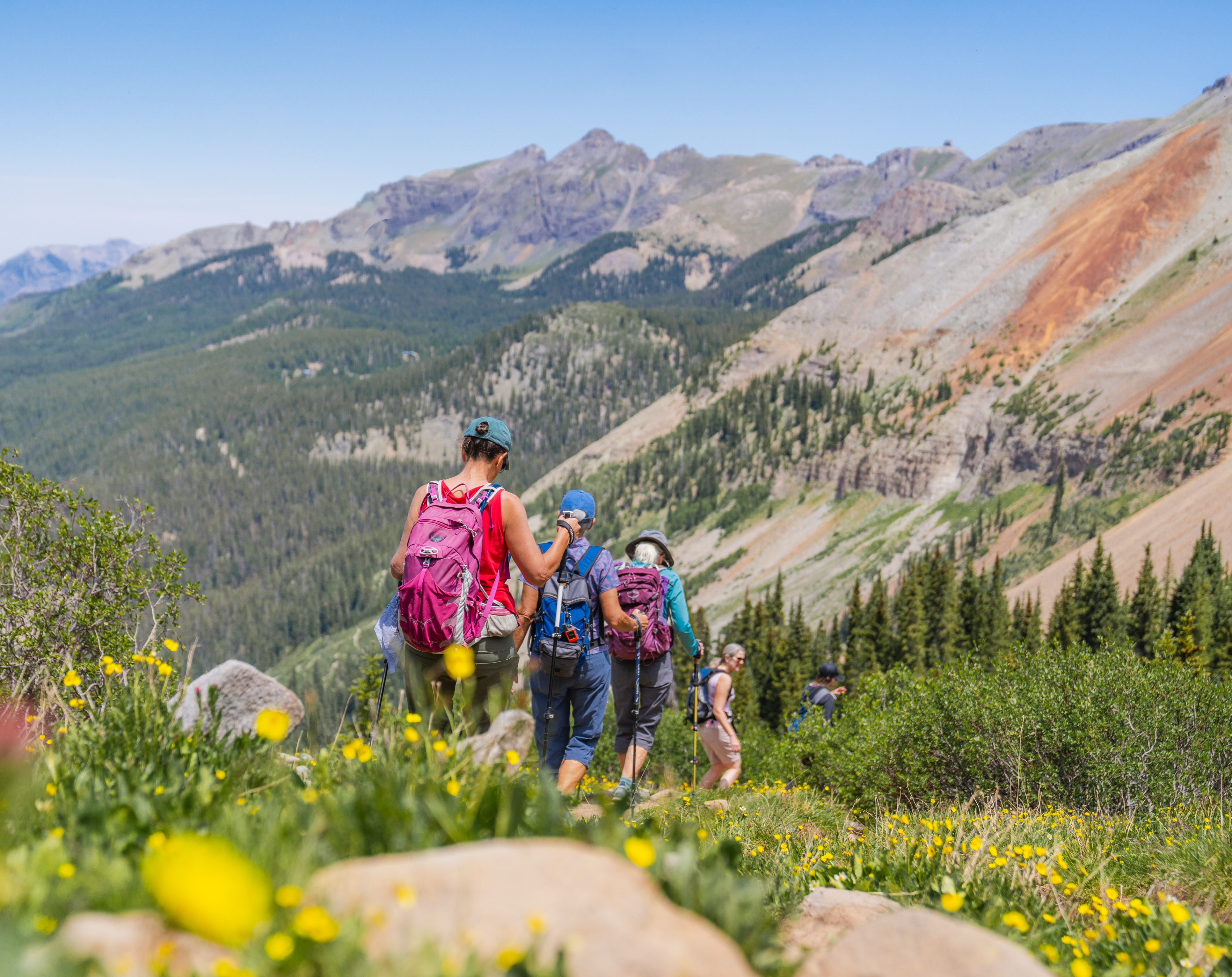✨ Summers in the San Juan Mountains ✨
⛷️ A sentence I hear all the time is “You must have moved here to ski!”. While I do ski, I absolutely LOVE hiking more! I know, controversial.🫣 But here’s why.
• Wildflowers! Enough said!
• More scenery to see such as lakes, waterfalls, and streams.
• You can incorporate more activities in hiking such as camping, climbing, swimming,picnics and more.
• No ski boots (unless you’re summer skiing!)
• More hiking trails than ski trails, and let’s be honest, it’s sometimes easier to hike harder trails than to ski harder trails.
🗺️The list goes on and on! Adventure begins where the pavement ends. Whether you’re chasing Mountain View’s, quiet forests, or unforgettable sunsets, Tellurides hiking trails offer something for everyone.
🏔️ The mountains are calling, answer with a hike 🥾
❔What’s your favorite hike? ✨