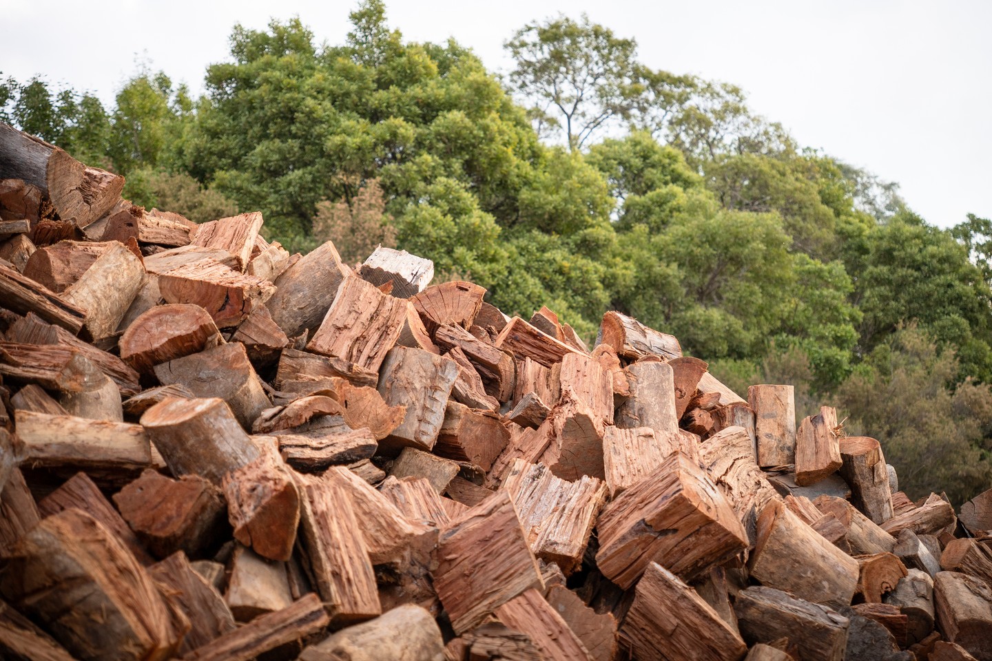 Red gum firewood and kindling are in stock at Macedon Nursery & Garden Supplies. With the temperature dropping across the Macedon Ranges, now is the time to get a decent load in rather than running short mid-winter.
Available by the trailer load or delivered locally 7 days.
#macedonnursery #macedonranges #firewood