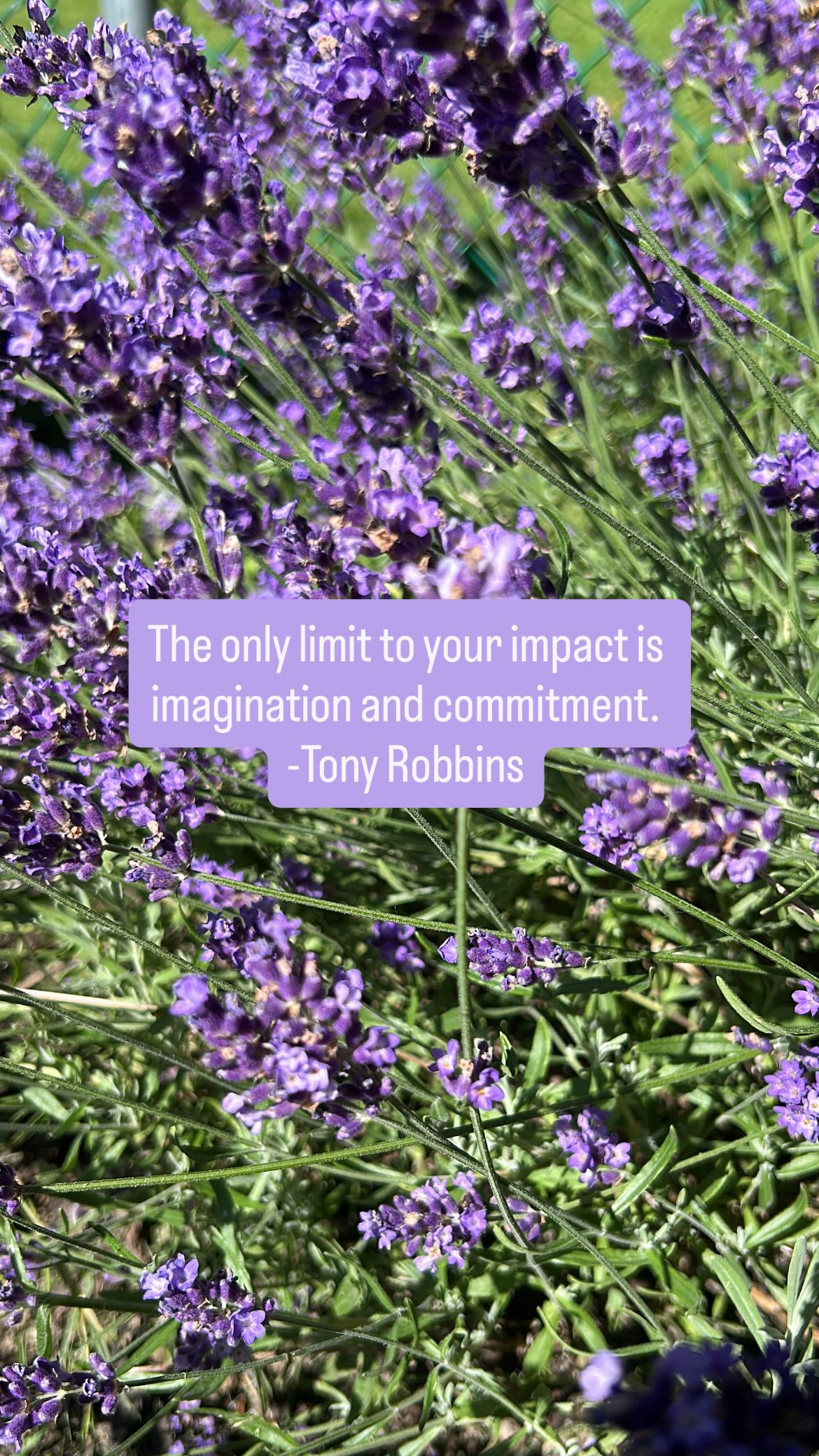 There are moments when our commitment is tested in entrepreneurship.
It happens to all of us at some point.
You know what can get us back on track?
Reconnecting with the power of our imagination! 💭
Instead of continuously focusing on what’s testing us, we have the ability to imagine the impact we are destined to make.
If you are experiencing this right now imagine this…
💭What would life be like if I made the impact I’m destined to make?
💭What lesson would that version of me find in my current experience?
💭How would they act to move forward and get realigned with my impactful vision?
Answering these questions allows us to imagine what we want instead of what we don’t want.
Remember what Tony Robbins also said, “where focus goes energy flows!”✨
Allow it to flow towards your impact not towards your setback.
Drop a 💭 if you’re going to focus on imagining more about the impact you want to make.