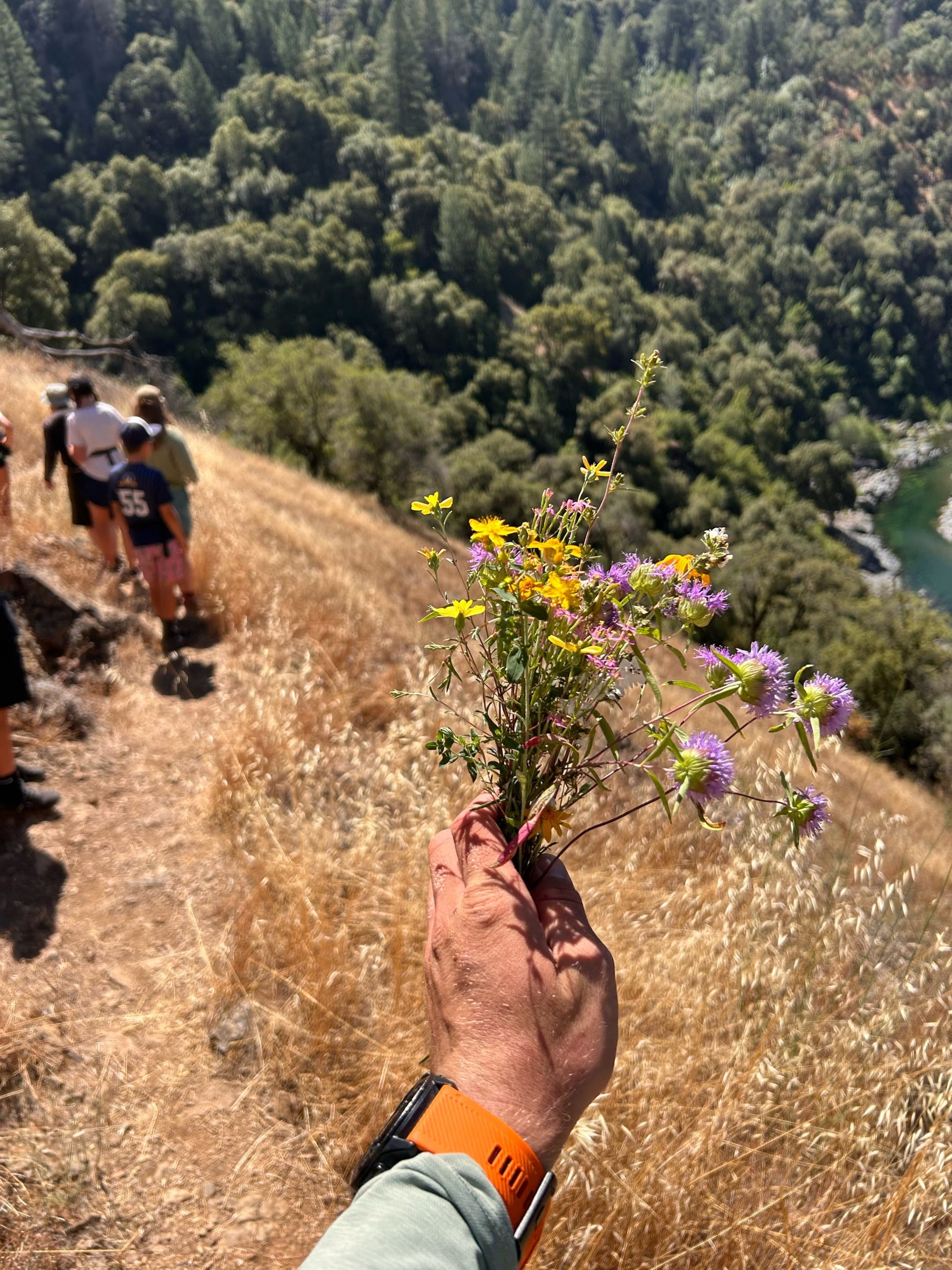 ““Consider how the wild flowers grow. They do not labor or spin. Yet I tell you, not even Solomon in all his splendor was dressed like one of these. If that is how God clothes the grass of the field, which is here today, and tomorrow is thrown into the fire, how much more will he clothe you—you of little faith!”
Luke 12:27-28 