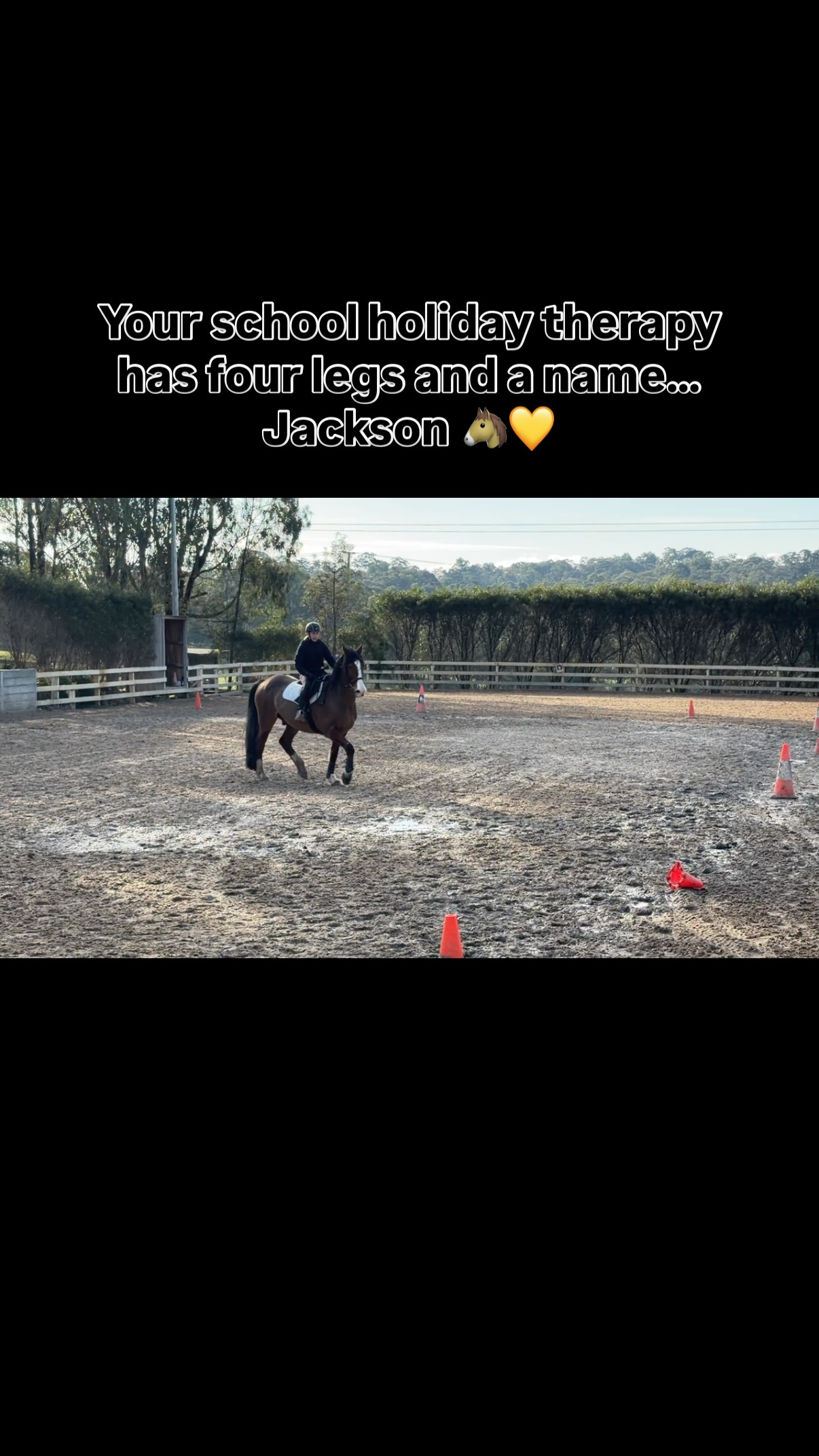 School holiday rides š“š
So grateful I get to spend some time working with this beautiful boy, Jackson, and doing something I truly love.
Thereās nothing quite like switching off, being outdoors, and spending time with horses. The perfect way to enjoy the school holidays š„°š“