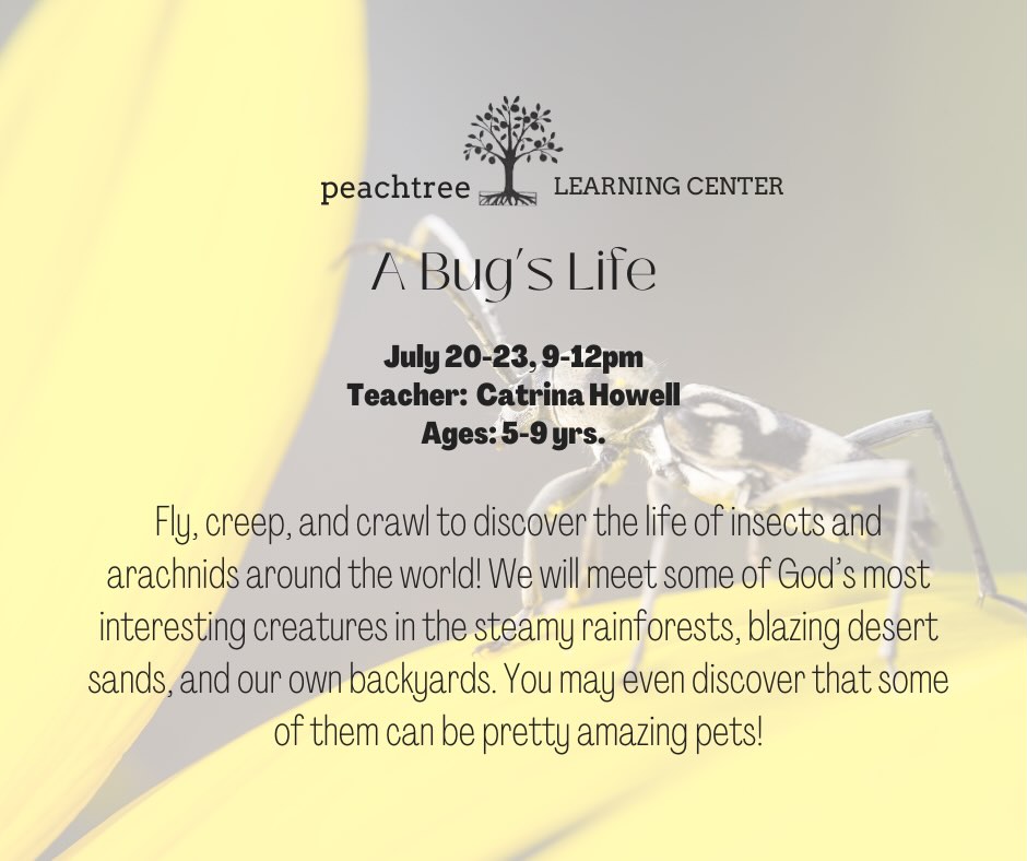 We are adding another camp to the week of July 20! Come join us for four days of all things bugs! 🐛 🐞🐜🦟🪲