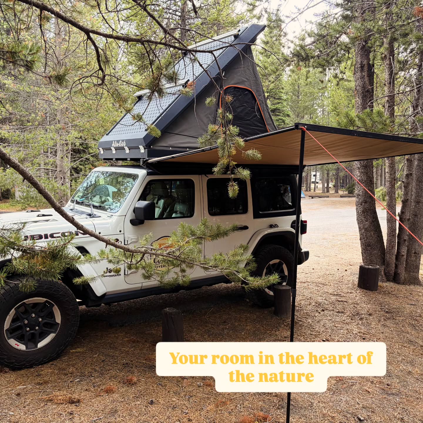 And you, where's your next adventure?