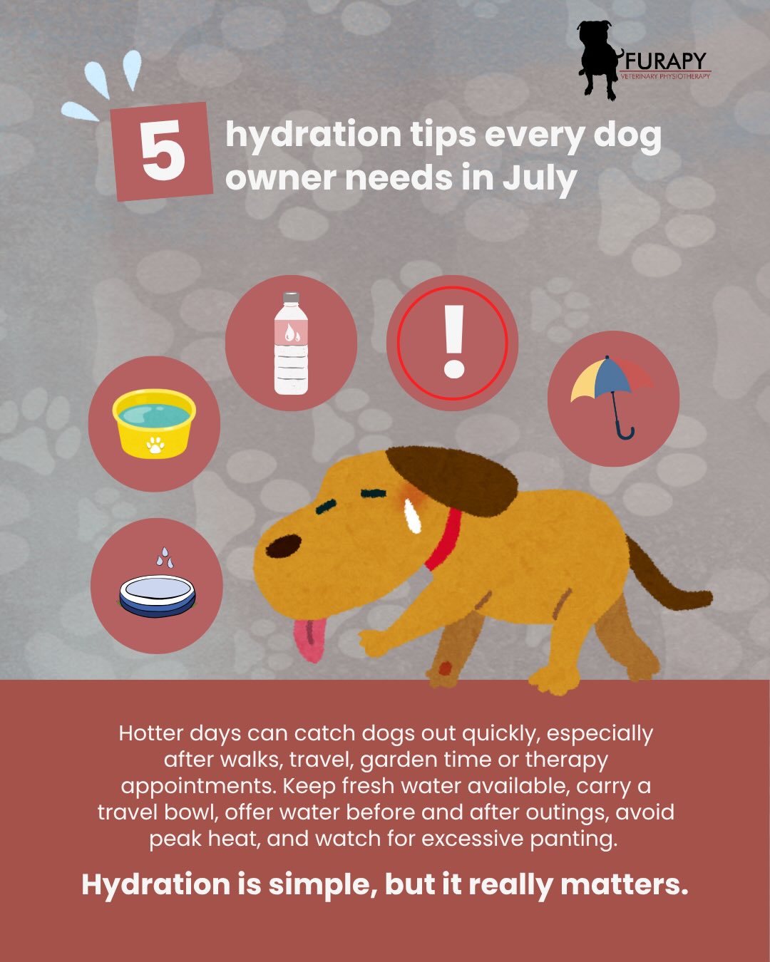 💧 Keeping your dog cool 💧
These hot summer months can easily dehydrate our dogs which can lead to serious health risks and vet visits!
Just like us, optimal hydration is the key to keeping your pet alert and their organ systems healthy. Here are our top 5 tips to a hydrated dog!
🐾 Multiple sources of water 🐾
Dogs can sometimes prefer little and often with their drink intake. Keep several access points around their environment to encourage drinking throughout the day.
🥕 Hydrating foods 🦴
Food can have a big impact on hydration. If your dog is reluctant to drink water, try introducing some bone broth, goat milk, berries, carrots or wet foods to increase water intake through their meals. Water can also be added to kibble for dry food diets.
🦮 Going for a walk? Take a drink on the go!
Carrying a water bottle on walks allows your pet to have access to fresh water on the go.
Remember to discourage your dog from drinking stagnant water. These bodies of water can contain harmful algae or bacteria that lead to gastrointestinal upset.
💧 Pool Party! 💧
Try enticing your dog to play some water based games such as bobbing for treats or fetching a toy in a clean paddling pool. During play, your dog is more likely to take in some water.
Just make sure your dog doesn’t over-drink from a pool, this can lead to health concerns.
🩺 Know the signs of dehydration
Knowing when your pet is dehydrated can make a huge difference in the outcome. Catching these signs early can help you to act faster and get the vet care they require to rehydrate and prevent conditions such as heat stroke.
How do you keep your pet cool in the summer? Let us know! 🐾