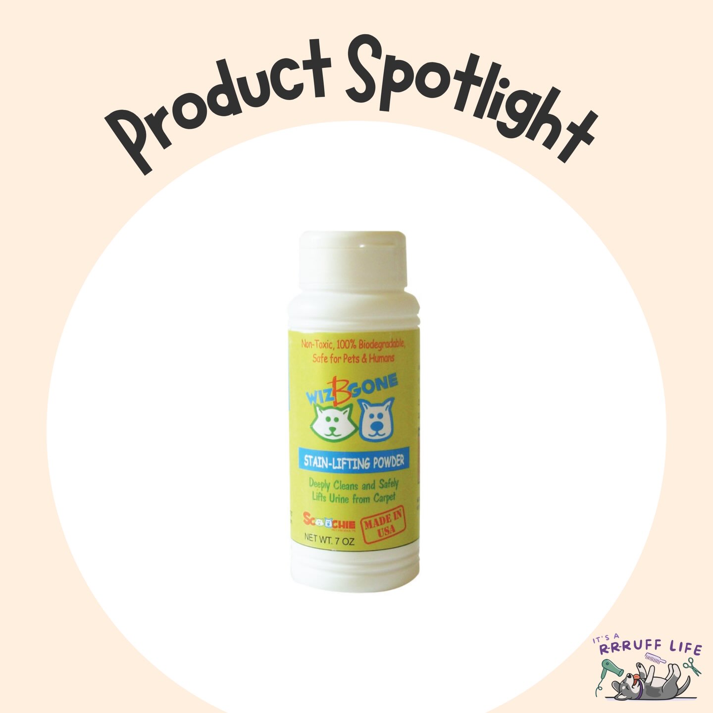 Accidents happen. Being prepared makes all the difference.
This week’s spotlight is WizBGone Stain-Lifting Powder — a non-toxic, biodegradable solution designed to help lift urine stains and odors while staying safe for pets and humans.
Whether you’re potty training a new puppy, caring for a senior pet, or just preparing for life’s little surprises, we’ve got you covered.
Available in-store!