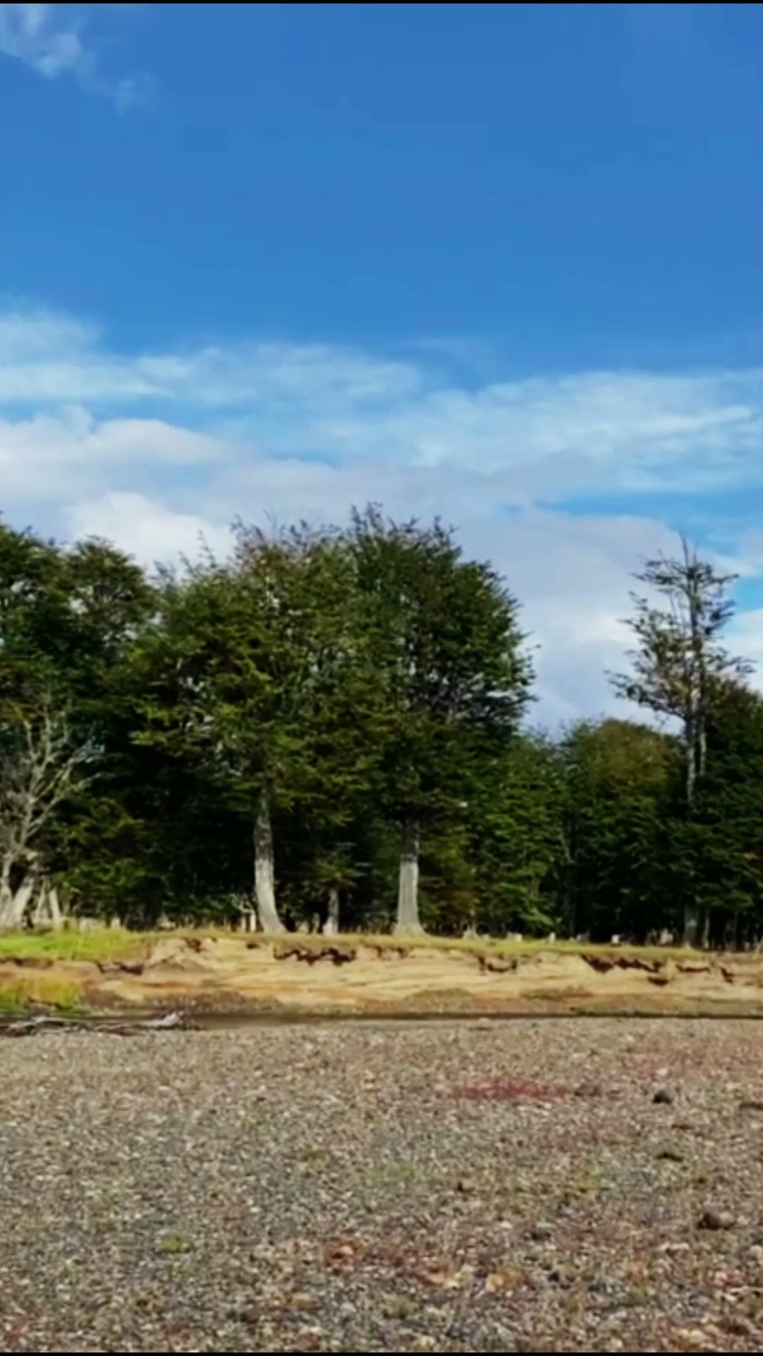 En los bosques patagónicos es común encontrar árboles caídos que permanecen durante muchos años sobre el suelo.
A diferencia de otros ambientes, las bajas temperaturas y las condiciones de humedad hacen que su descomposición sea más lenta. Mientras eso ocurre, esos troncos continúan formando parte del ecosistema: retienen humedad, sirven de refugio para distintos organismos y, con el tiempo, vuelven a integrarse al suelo.
#Conservacion #MedioAmbiente #RiosLimpios #Naturaleza #Patagonia #ProtegeNuestrosRios #EcoAmigable #Sustentabilidad #FuturoVerde #Chile #PatagoniaChiena #AguaEsVida #Rio #RegionMagallanes
.
.
.
.
.
.
In Patagonian forests, it is common to find fallen trees that remain on the ground for many years.
Unlike in other environments, the low temperatures and humidity conditions slow down their decomposition. While this happens, these logs continue to be a part of the ecosystem: they retain moisture, serve as a refuge for various organisms, and, over time, integrate back into the soil.
#Conservation #NaturePreservation #CleanRivers #EcoFriendly #Sustainability #WildRivers #NaturePhotography #ProtectOurPlanet #GreenFuture #WaterIsLife #SaveTheRivers #Chilean