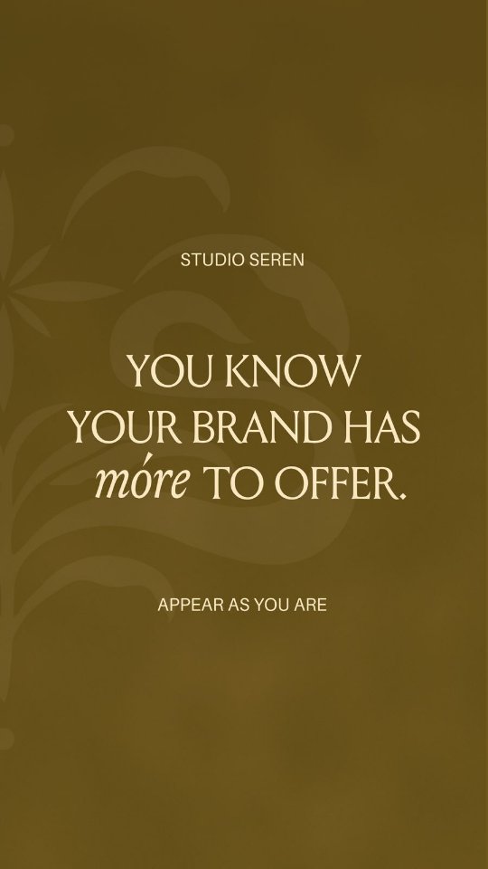 Some roads bent, some outgrew.
As your vision evolves, your brand deserves to evolve with it too... By revealing what has been there all along.
Studio Seren, appear as you are ๐๏ธ
If your brand no longer feels like a true reflection of your work, my inbox is open ๐
#branding #branddesign #rebranding #studioseren