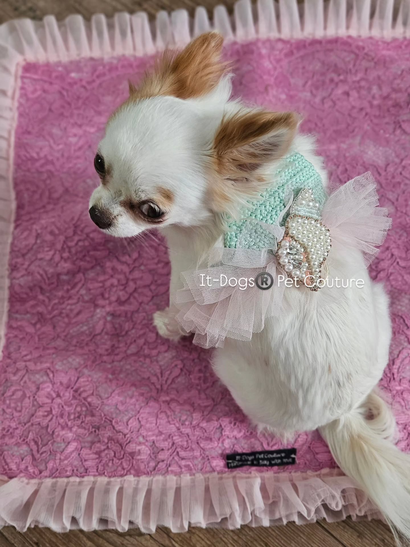 Lovely harness handmade by egyptian makò cotton the top quality cotton
Comfort&beauty for your pet 🩵
Link in bio to shop ot order it now by email,IG,wechat
❤️🇮🇹
#itdogs #dogshop #petshop #onlineshopping #shoppingonline
Dog. Pet. Dogshop. Style. Italia.