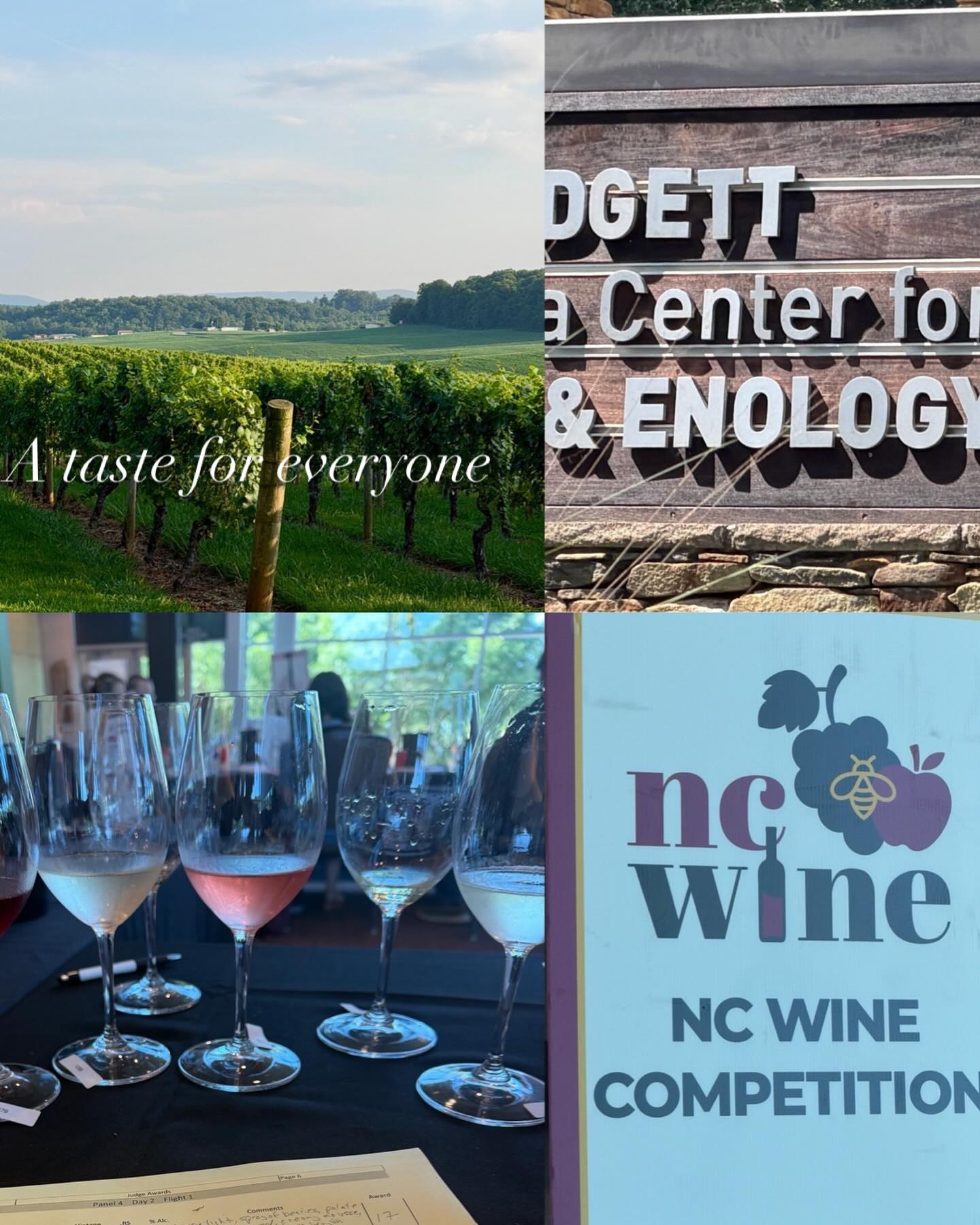Great time judging in the North Carolina 2026 Wine Competition this week at the very impressive Shelton-Badgett North Carolina Center for Viticulture and Enology with @ncwines A wide diversity of grapes from Chardonnay to Riesling to Bordeaux varieties to Chambourcin and Chardonell. Did you know that North Carolina has over 200 wineries in its stunningly beautiful wine country? Lots going on in the wine world here! #ncwines # Shelton-Badgett North Carolina Center for Viticulture and Oenology #winelife #winelover