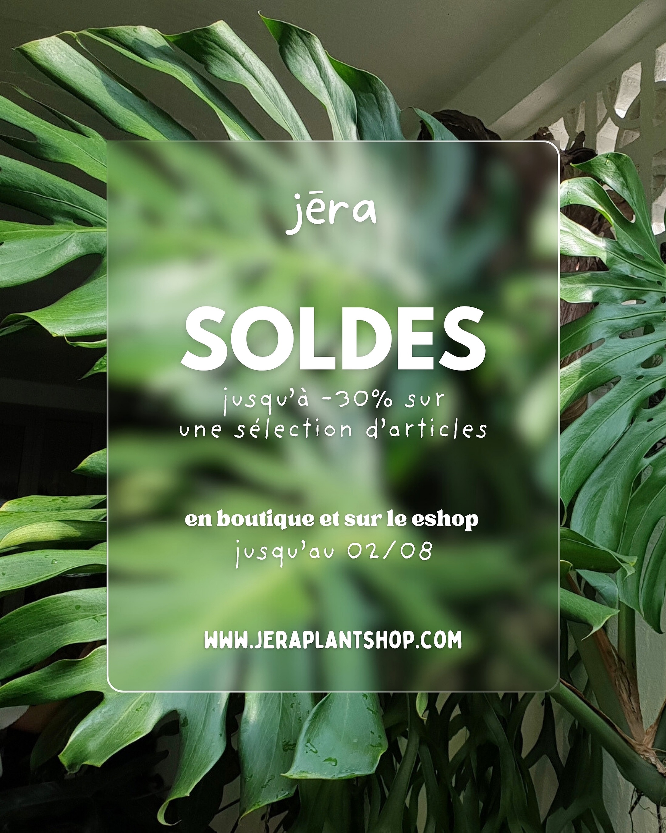 ☀️ DÉSTOCKAGE D’ÉTÉ ☀️
C’est le moment de craquer et de végétaliser votre intérieur avant les vacances ⛱️
Profitez de remises allant jusqu’à -30% sur une sélection d’articles signalés en boutique ✨
⚠️ Les offres sont valables jusqu’à notre fermeture estivale le dimanche 2 août 😎
📍 Jēra, 51 avenue Jean Jaurès, Domont
👉🏼 www.jeraplantshop.com
#boutiquedeplantes #eshopvegetal #plantslovers #greenlovers #jungleurbaine