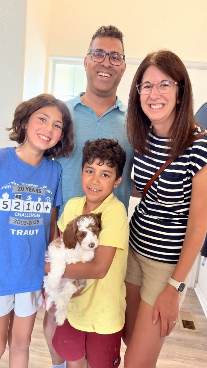 Happy Gotcha Day for our sweet Cavapoo puppies from Rosa and Louie! #puppypawscolorado #gotchaday #cavapoo #puppy #doodlepuppy