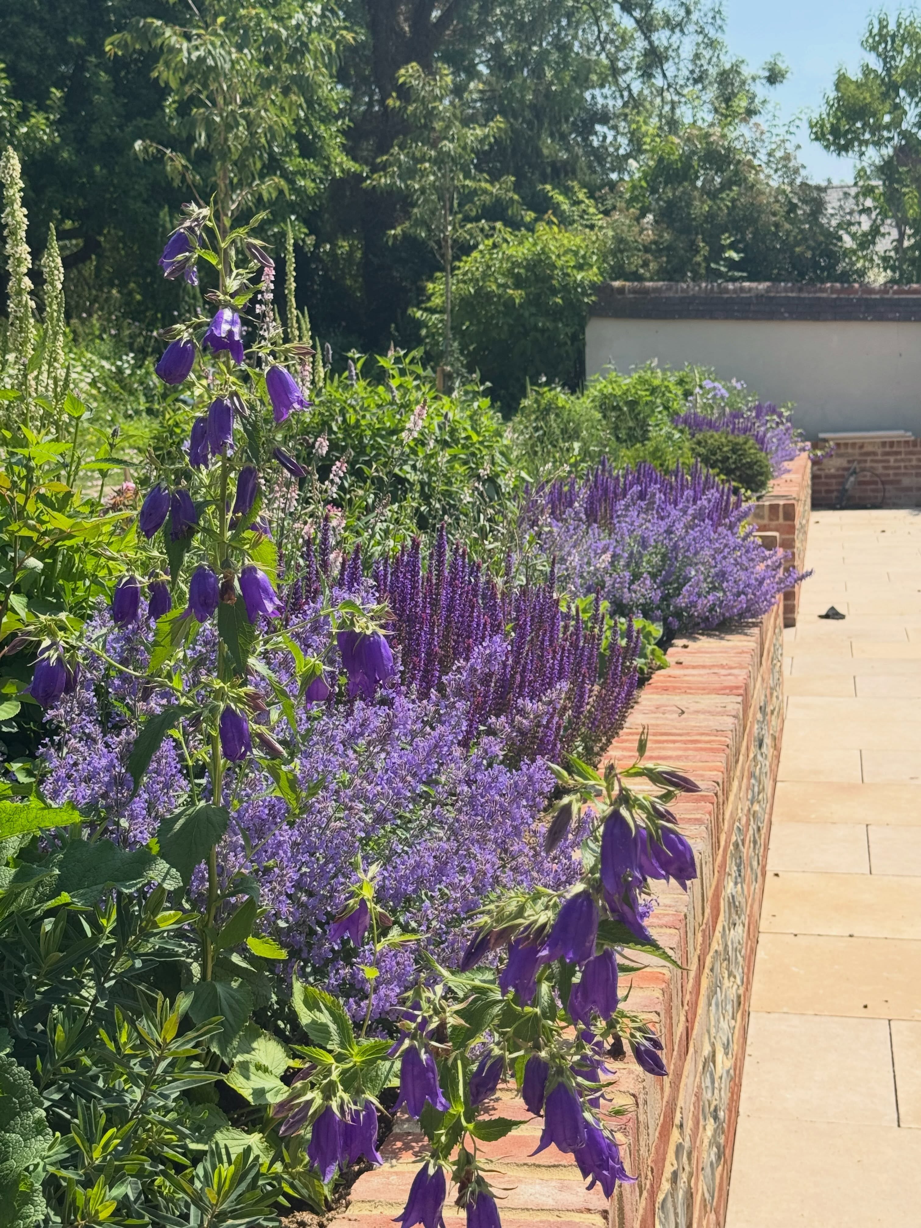 So for those of you for follow me, you will have seen this garden from the start. I’m thrilled with the way the planting and hard Landscaping has progressed. The first borders were planted in March with the rest followed on behind the installation of the hard Landscaping. The weather has brought us many challenges both from wet and extreme heat however this garden is really starting to fill out and show its potential. Incredible work from both the hard landscaping team @jamesburtonconstruction and the soft landscaping team @tonybengerlandscaping. It’s all about team work. #gardendevelopement #hardlandscapedetail #dreamteam #fiboylegardendesign