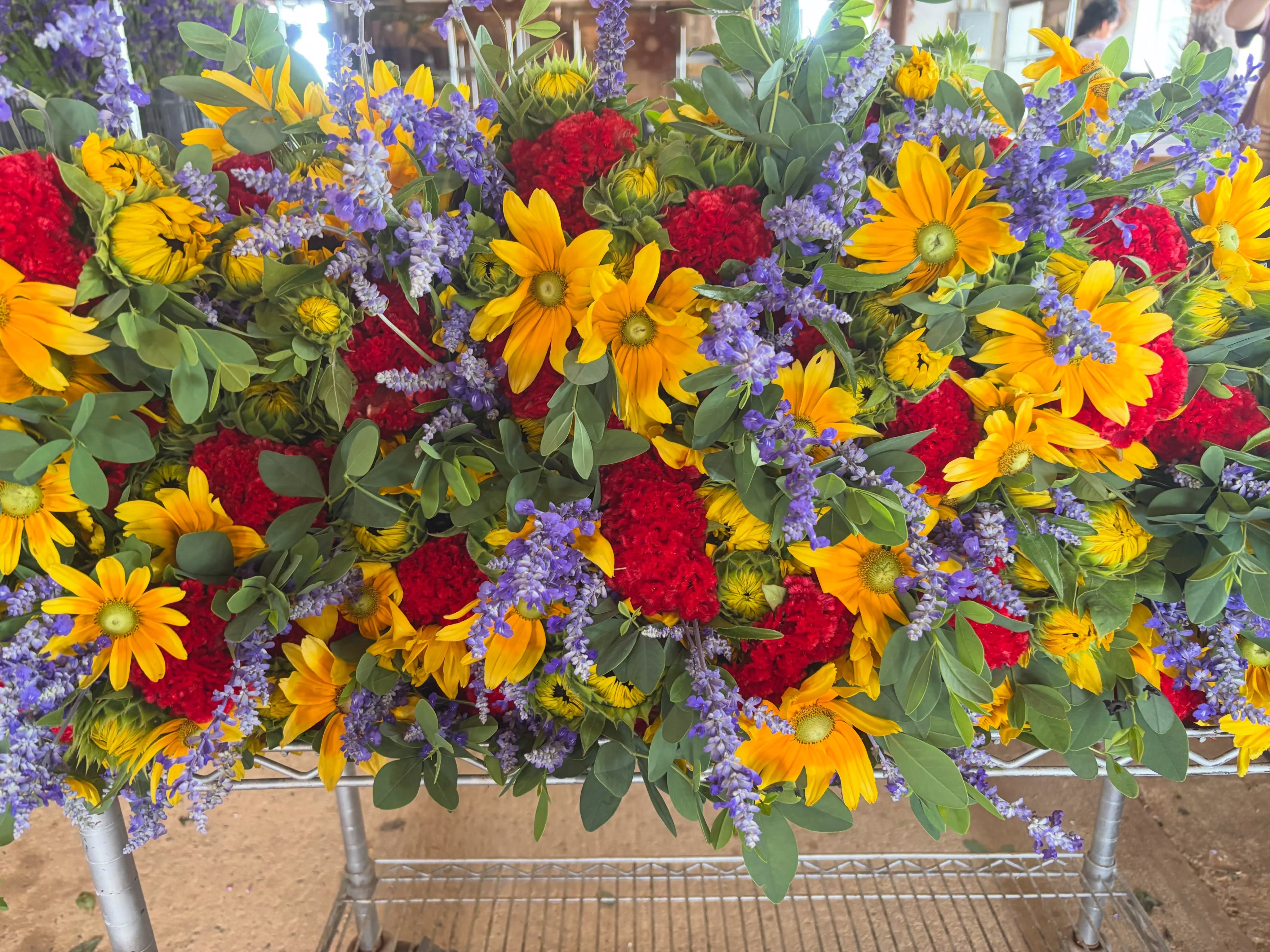 Here come the summer reds.
Hot colors are quintessential Roots and the party is just getting started.