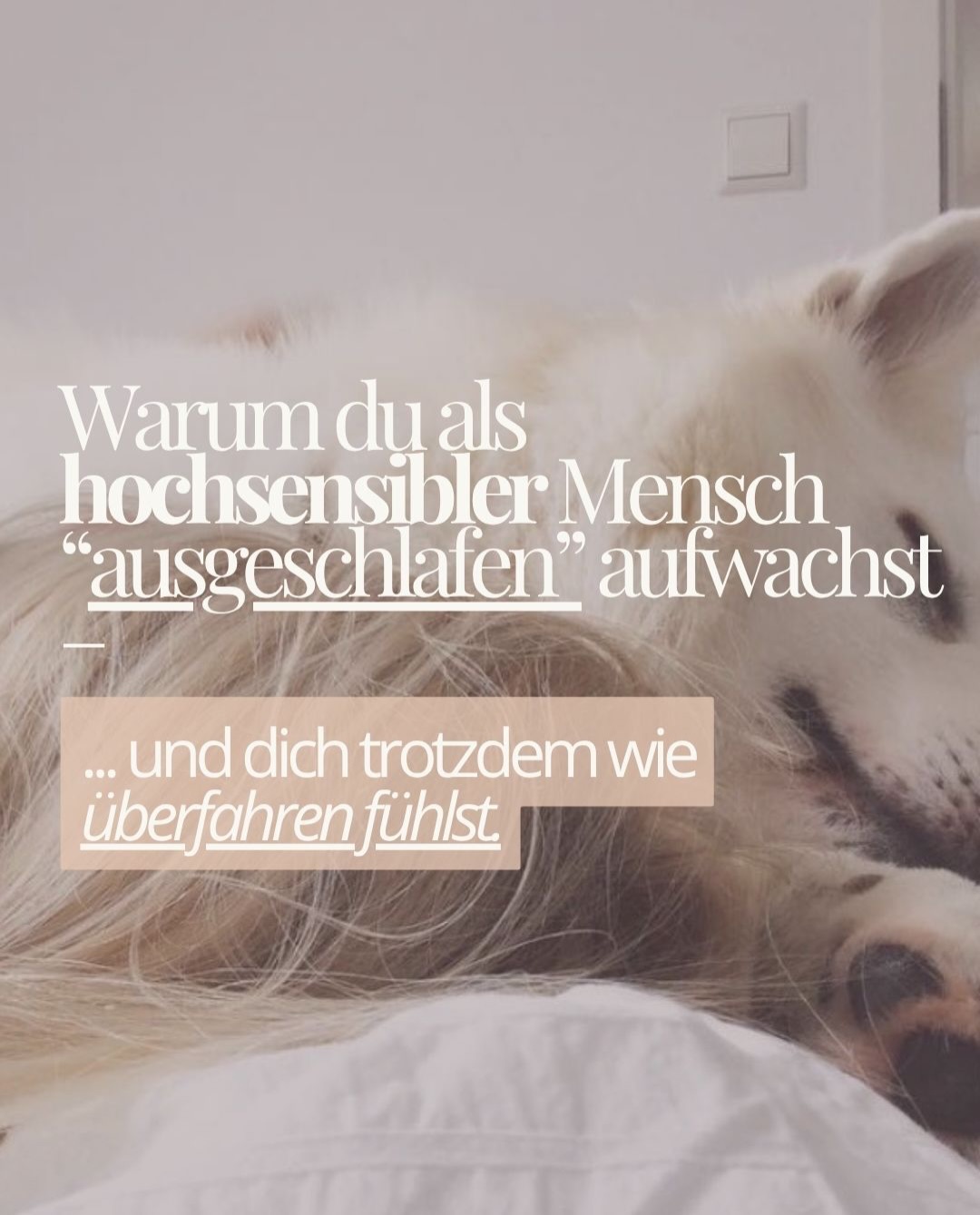 Ausgeschlafen. Frühstückstisch gedeckt. Alles ruhig.
Und trotzdem willst du sofort zurück ins Bett. 🛏️
Wenn du das kennst, ist das kein Zufall – und du bist nicht faul oder willst dich hinter deiner Hochsensibilität verstecken.🌸
Wisch weiter, dann verstehst du, warum. 🙏🏽🧚